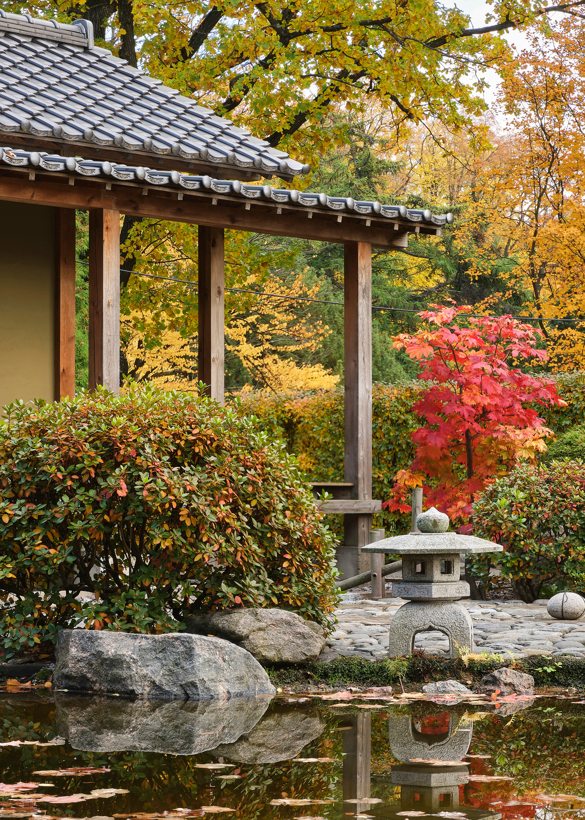 Ландшафтный и интерьерный фотограф Наталья Соловьева. Фотосъемка Японского сада на территории Ботанического института БИН РАН | interioto