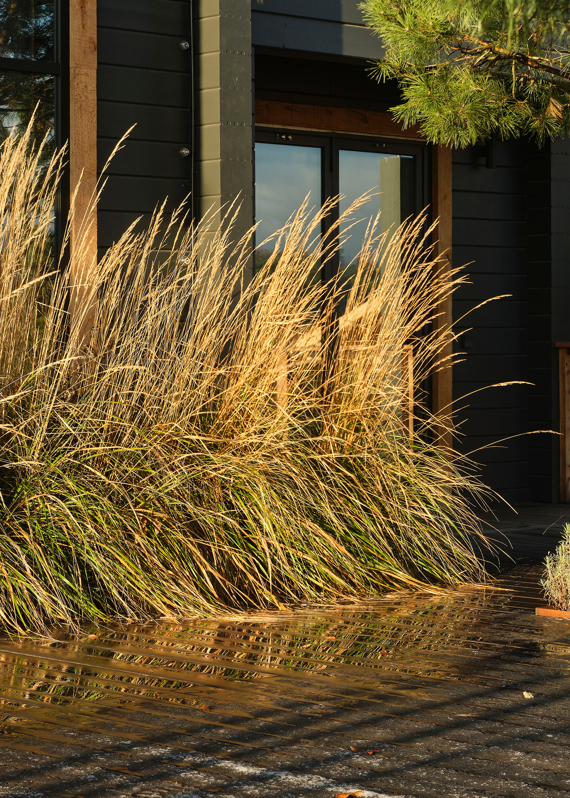 Интерьерный фотограф Наталья Соловьева. Фотосъемка черного дома Оксаны Пак в Подмосковье | interioto