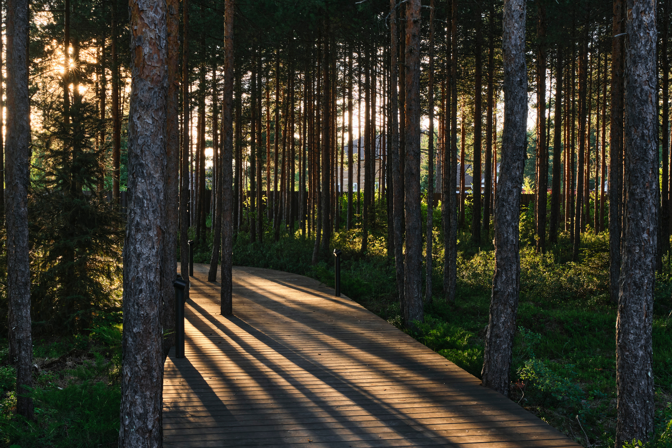 Ландшафтный и интерьерный фотограф Наталья Соловьева. Фотосъемка проекта сада для ландшафтной студии LBuro | interioto