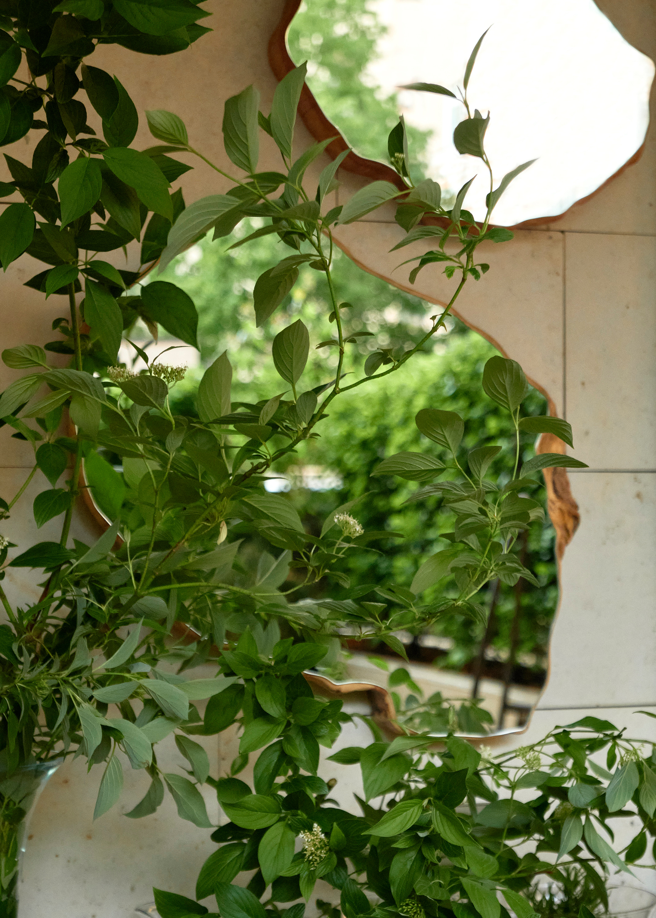 Ландшафтный и интерьерный фотограф Наталья Соловьева. Фотосъемка частного сада в центре Москвы | interioto