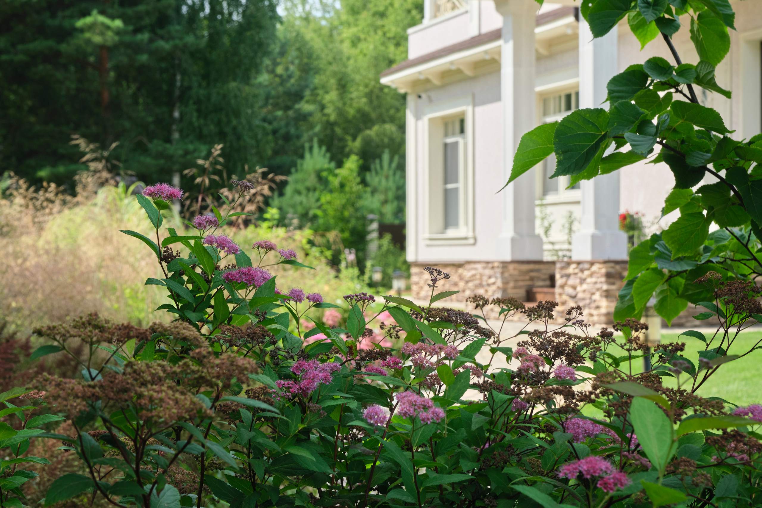 Ландшафтный и интерьерный фотограф Наталья Соловьева. Фотосъемка озеленения частного сада в Подмосковье | interioto