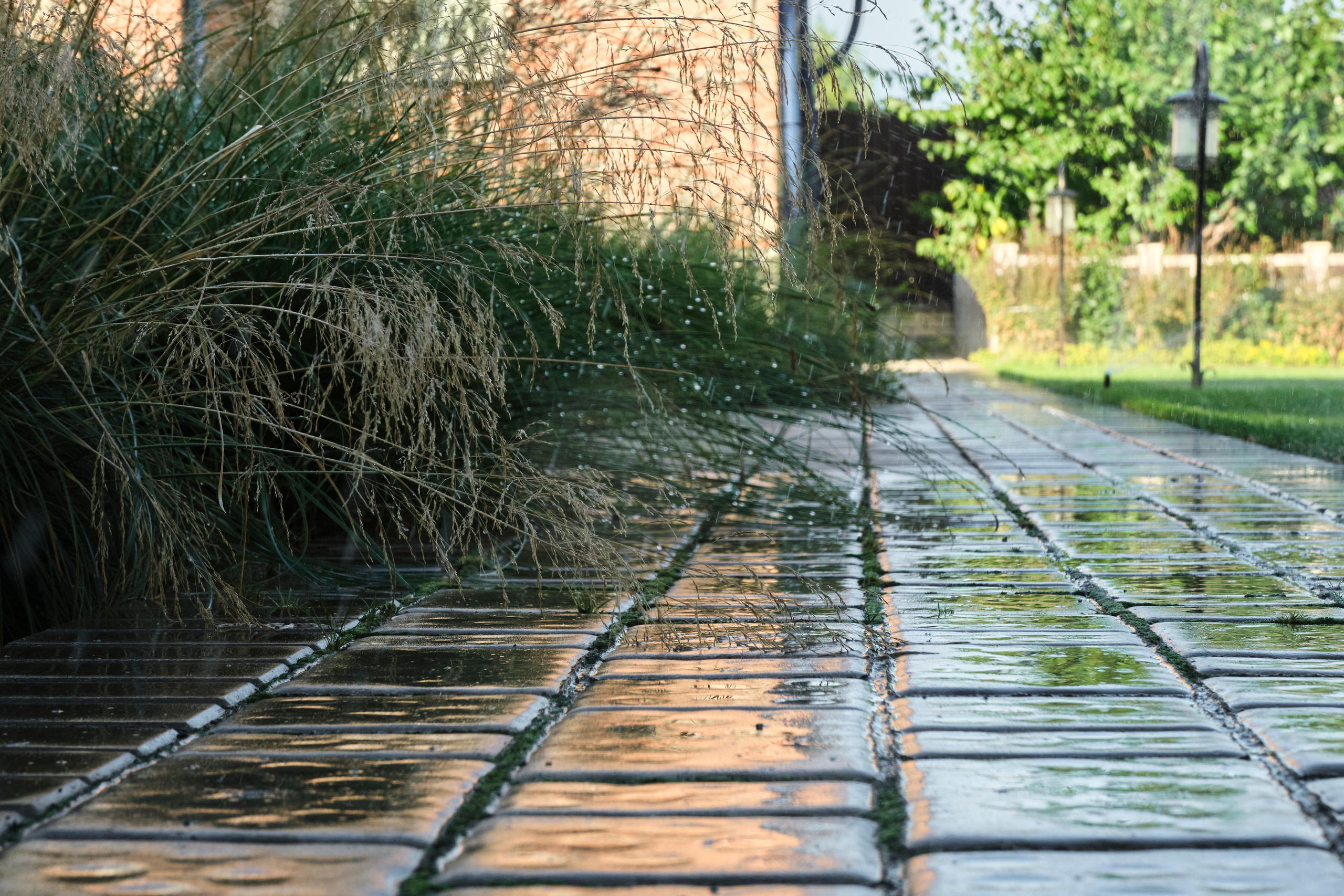 Ландшафтный и интерьерный фотограф Наталья Соловьева. Фотосъемка озеленения частного сада в Подмосковье | interioto