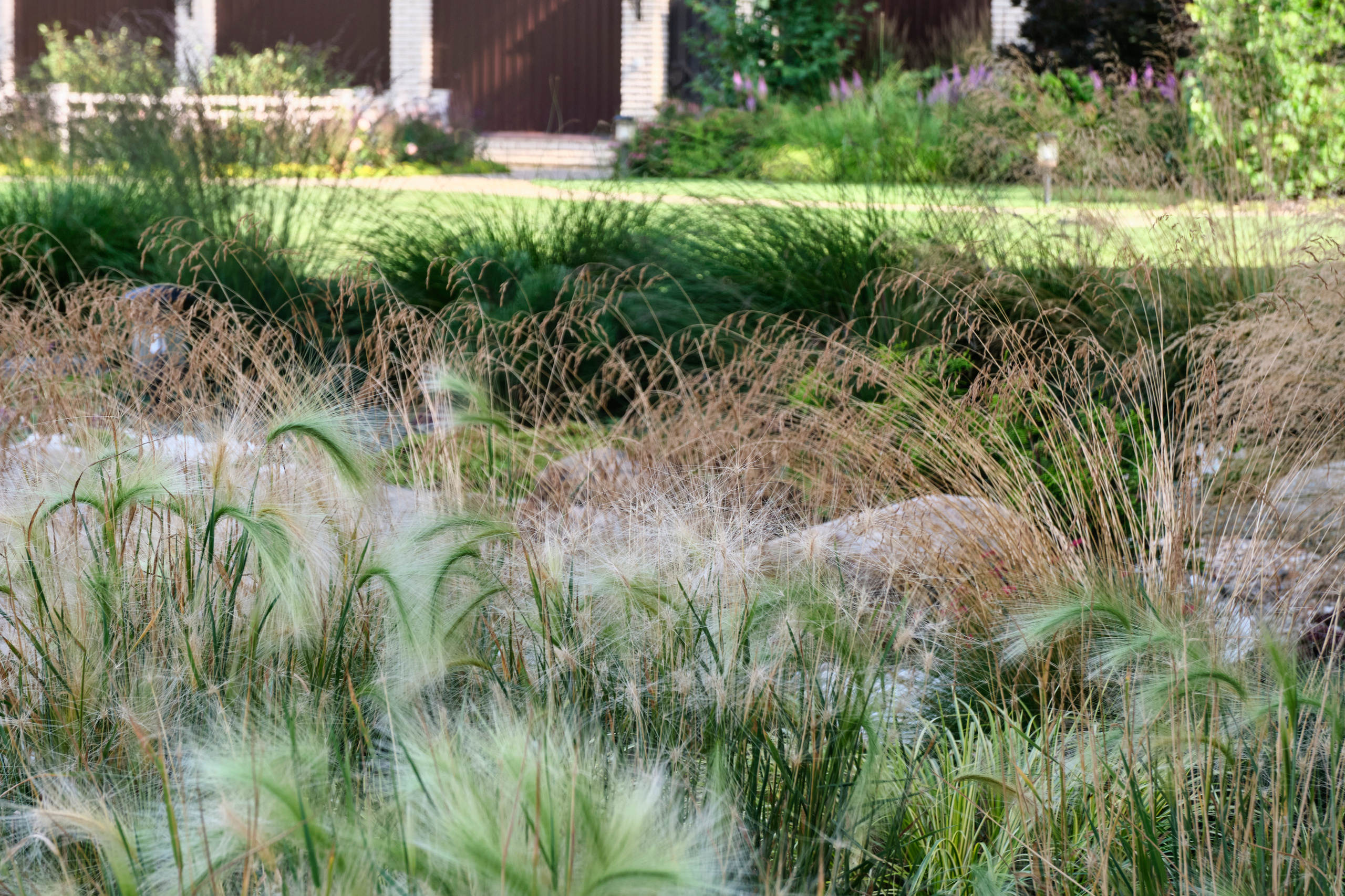 Ландшафтный и интерьерный фотограф Наталья Соловьева. Фотосъемка озеленения частного сада в Подмосковье | interioto