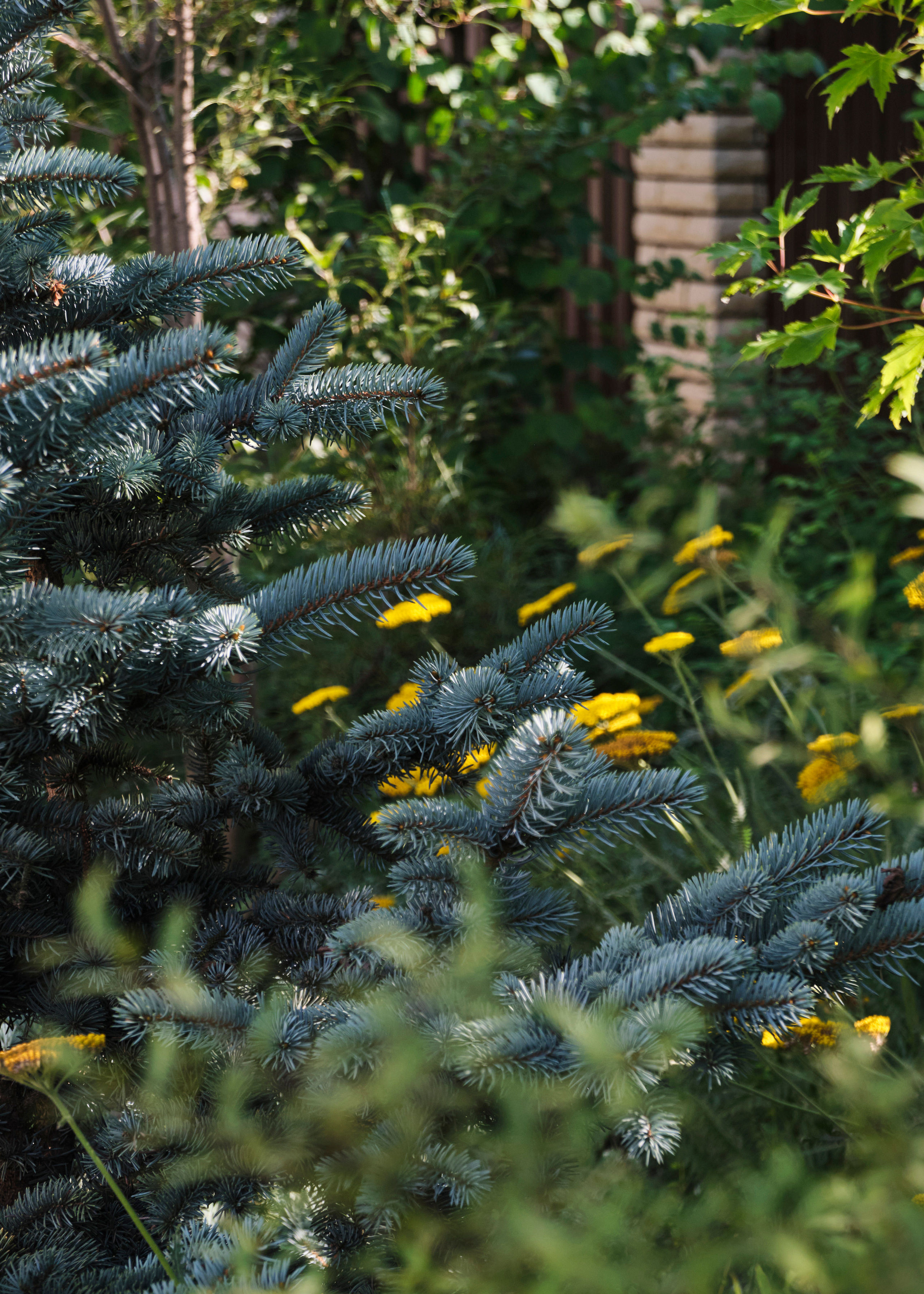 Ландшафтный и интерьерный фотограф Наталья Соловьева. Фотосъемка озеленения частного сада в Подмосковье | interioto
