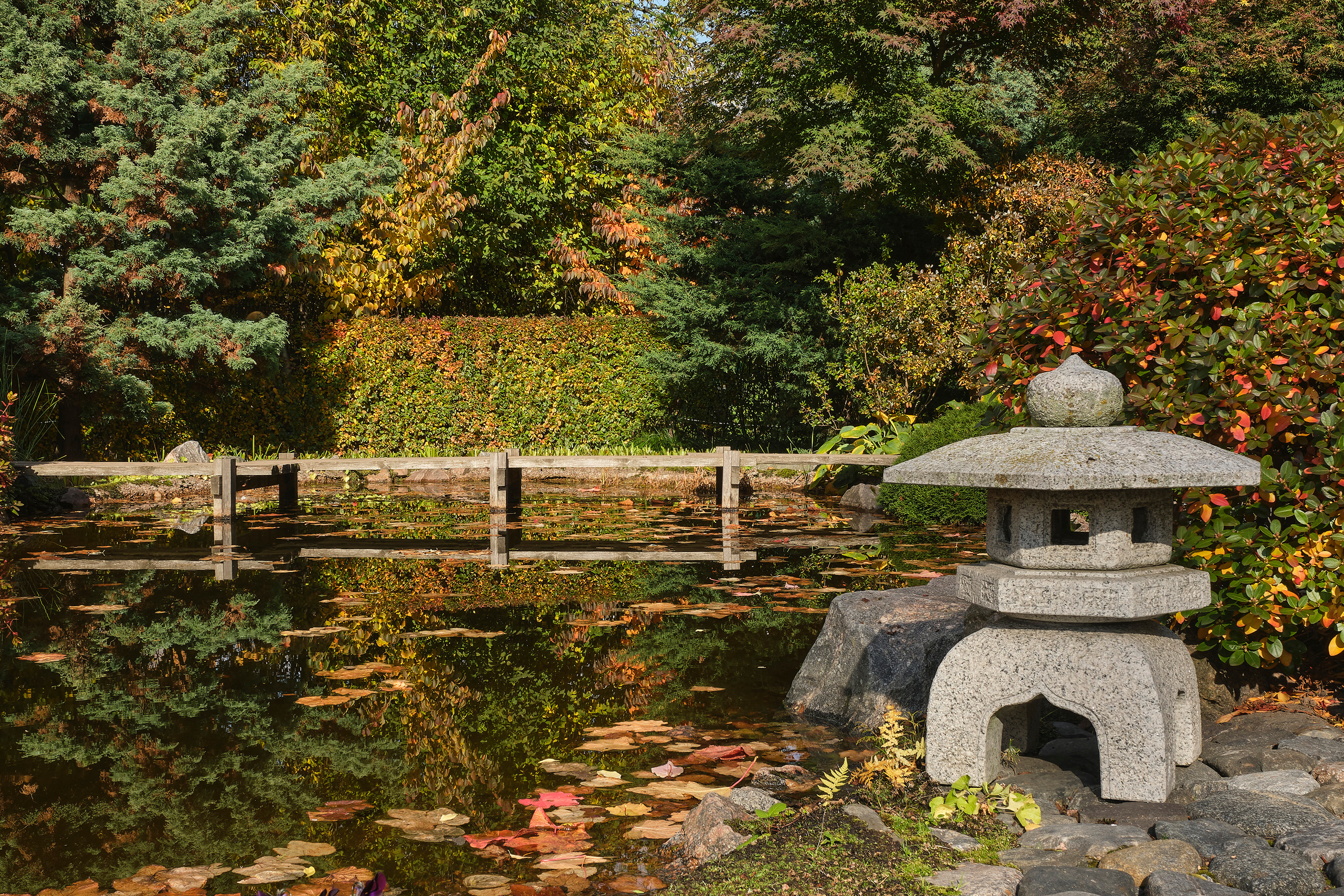 Ландшафтный и интерьерный фотограф Наталья Соловьева. Фотосъемка Японского сада на территории Ботанического института БИН РАН | interioto