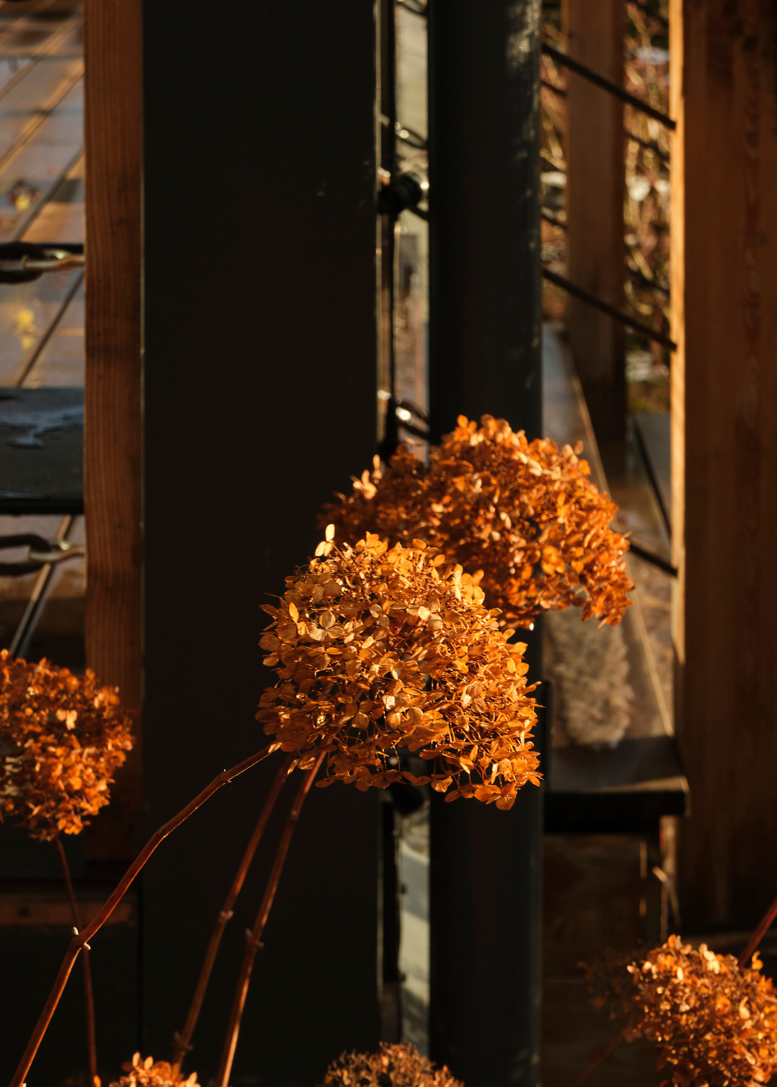 Ландшафтный и интерьерный фотограф Наталья Соловьева. Фотосъемка частного сада Оксаны Пак | interioto