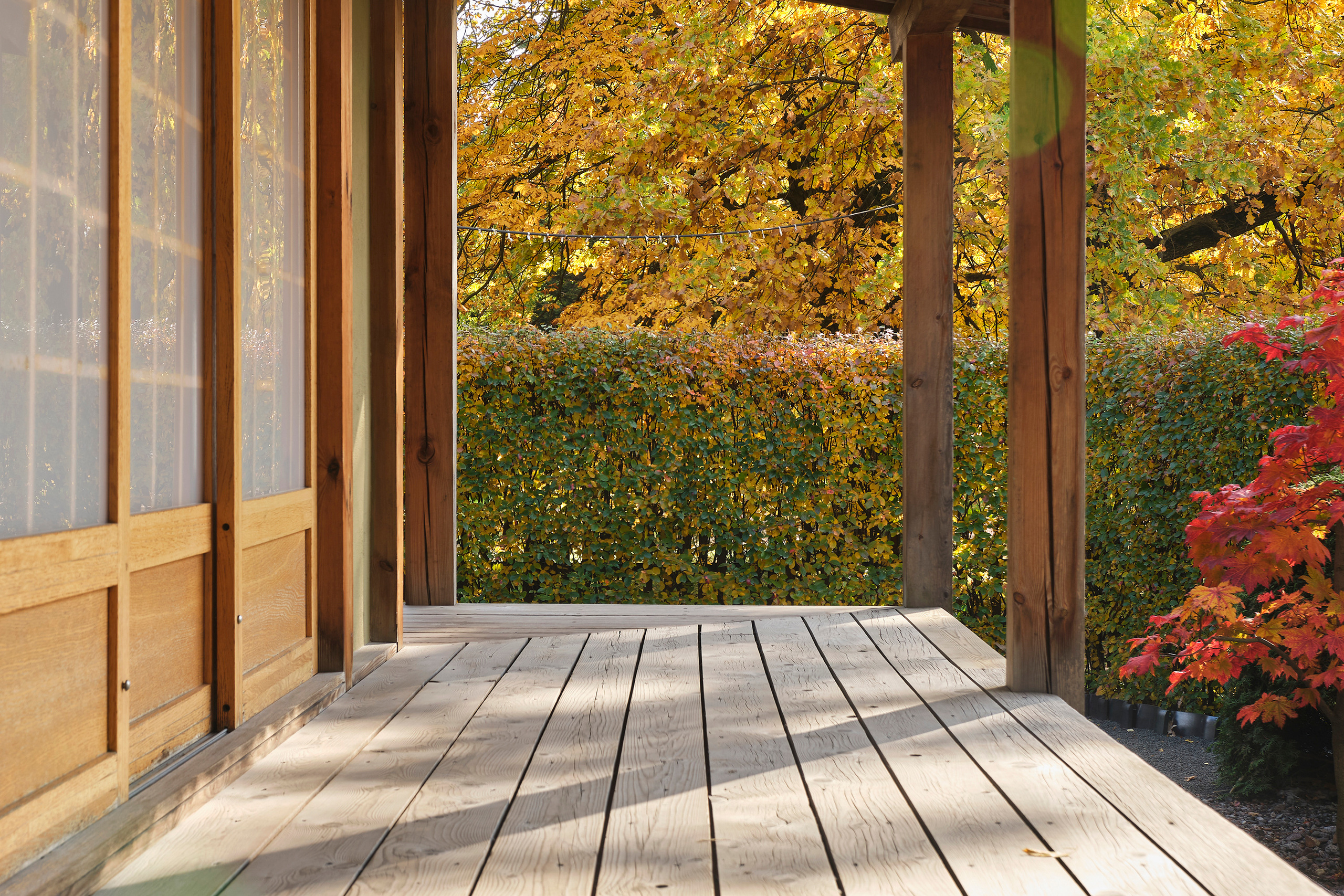 Ландшафтный и интерьерный фотограф Наталья Соловьева. Фотосъемка Японского сада на территории Ботанического института БИН РАН | interioto