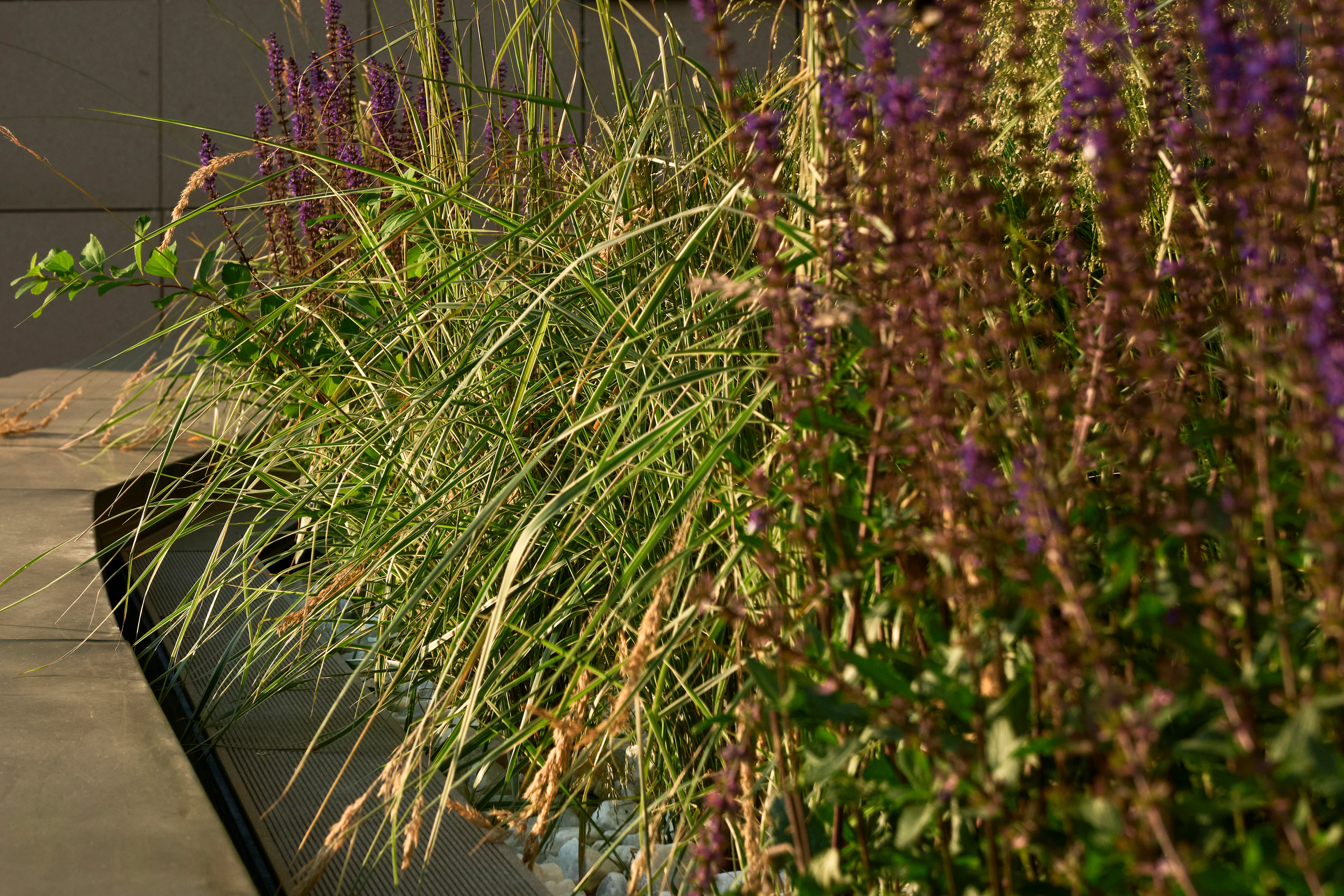 Ландшафтный и интерьерный фотограф Наталья Соловьева. Фотосъемка озеленения террасы в ЖК Монблан для студии Зелен | interioto