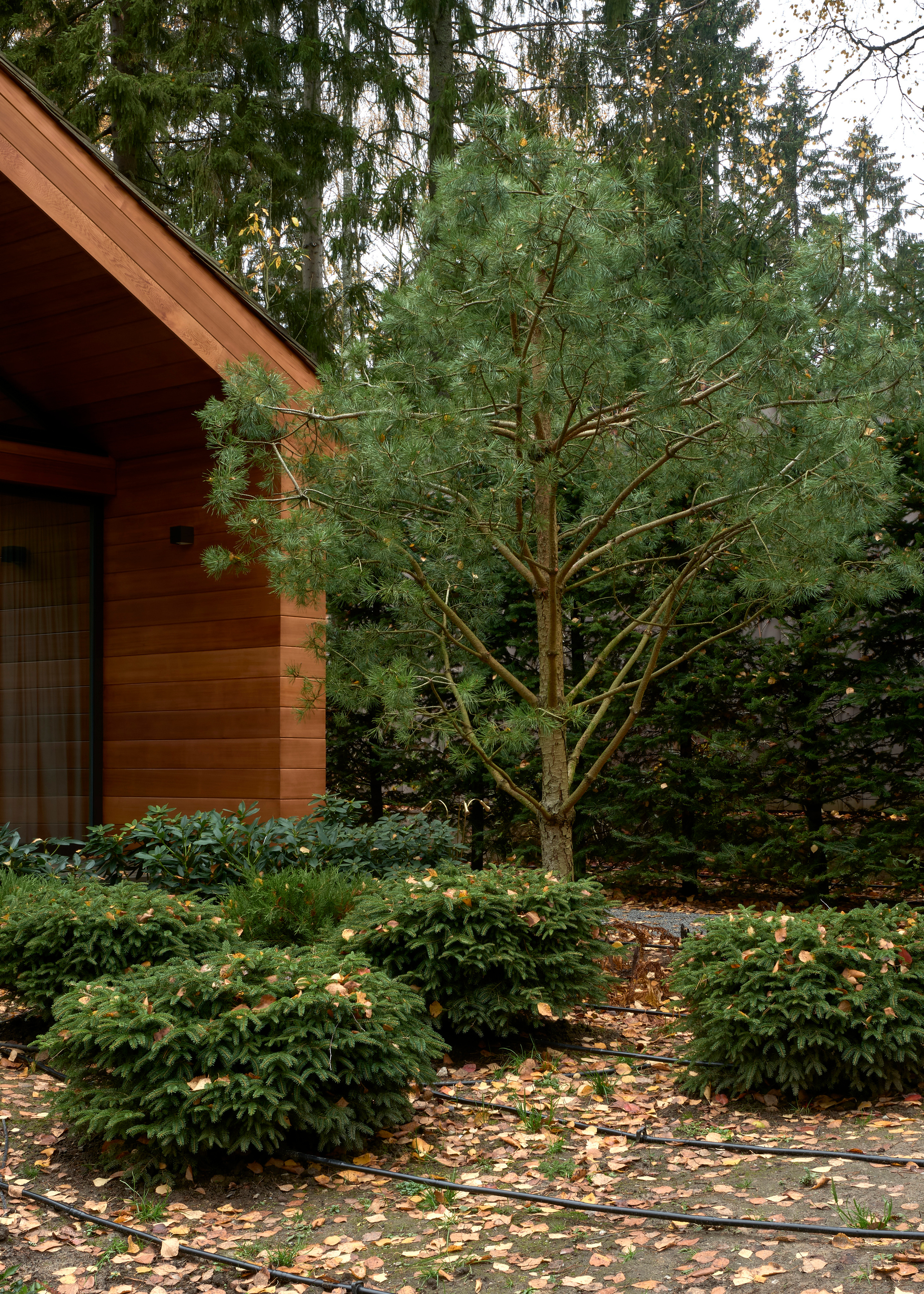 Ландшафтный и интерьерный фотограф Наталья Соловьева. Фотосъемка сада в Репино для ландшафтной студии lburo | interioto