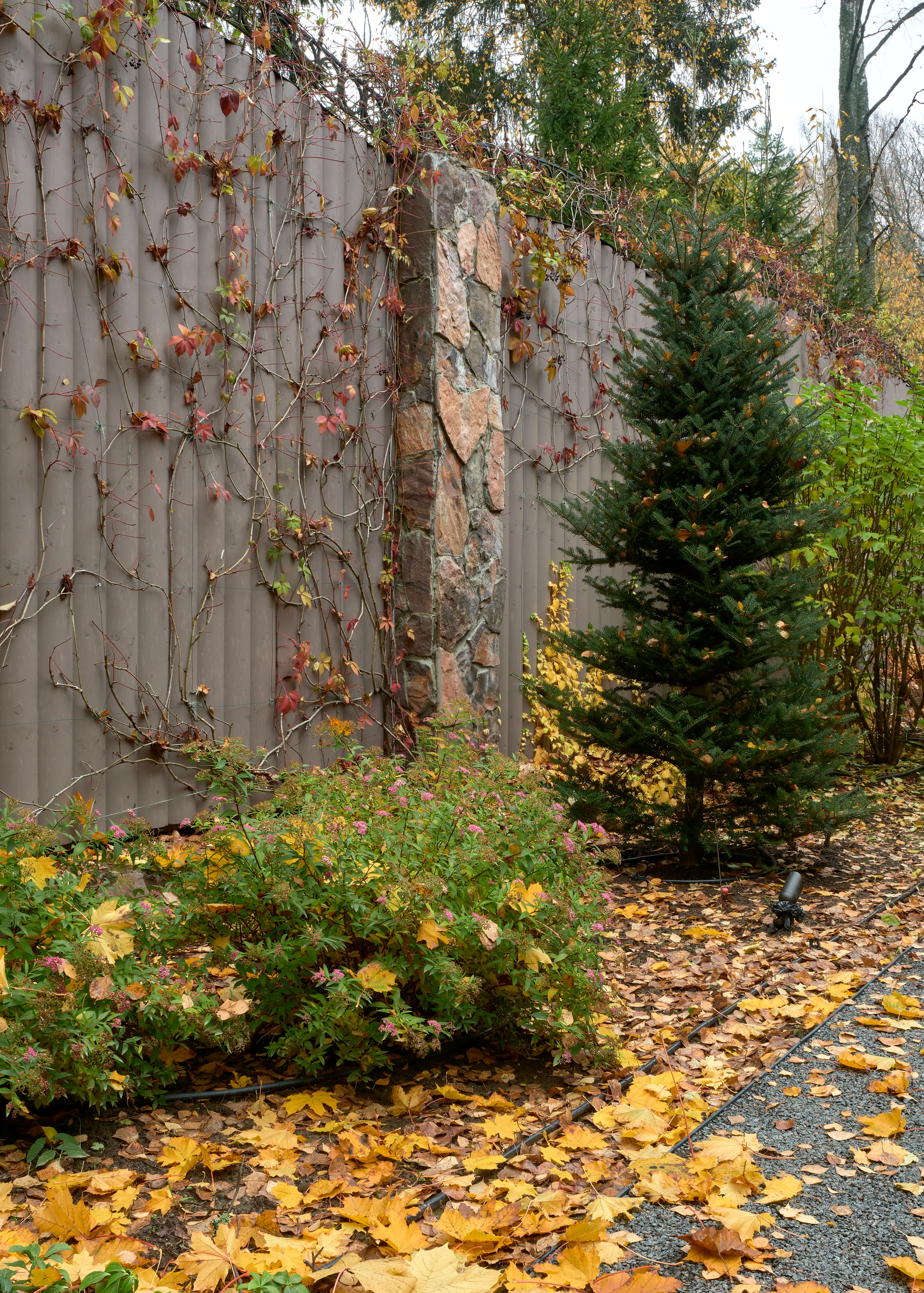 Ландшафтный и интерьерный фотограф Наталья Соловьева. Фотосъемка сада в Репино для ландшафтной студии lburo | interioto