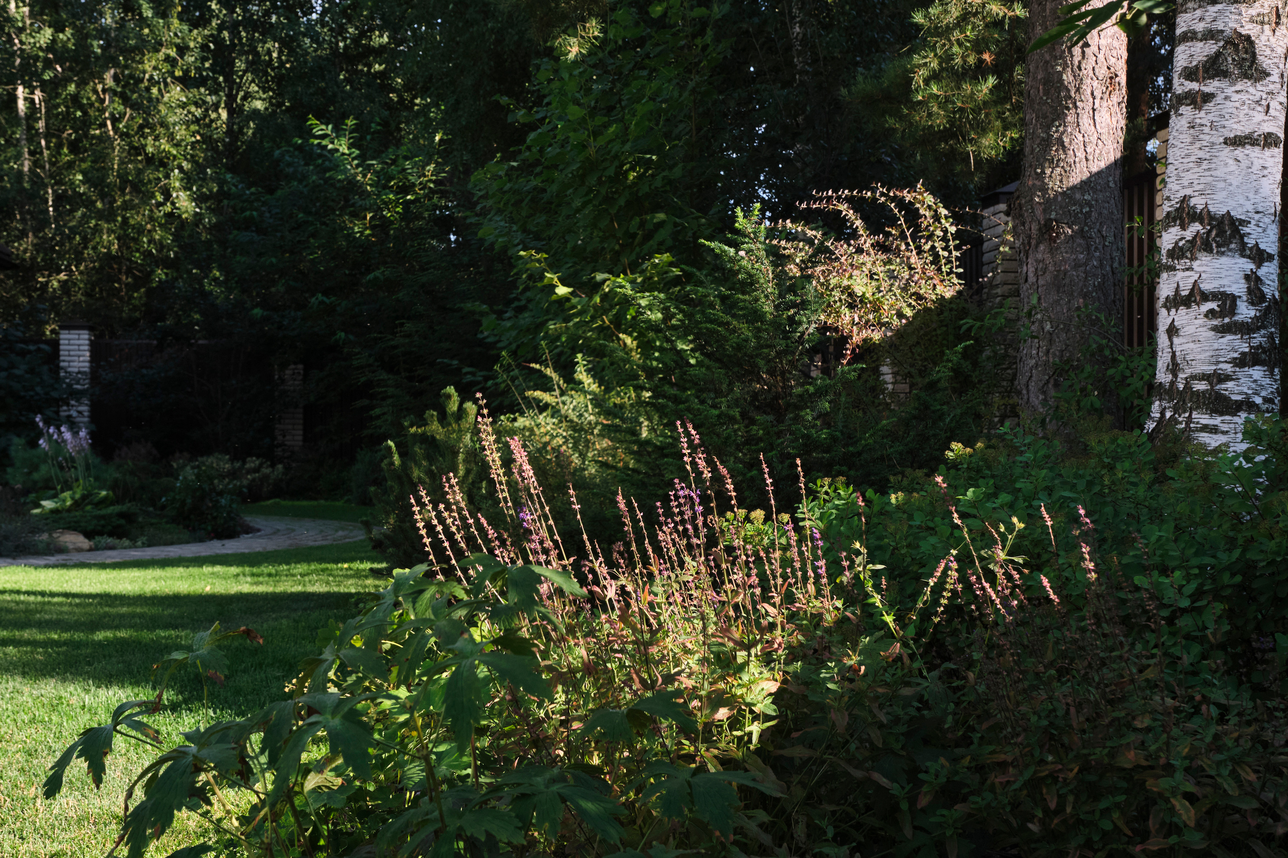 Ландшафтный и интерьерный фотограф Наталья Соловьева. Фотосъемка озеленения частного сада в Подмосковье | interioto
