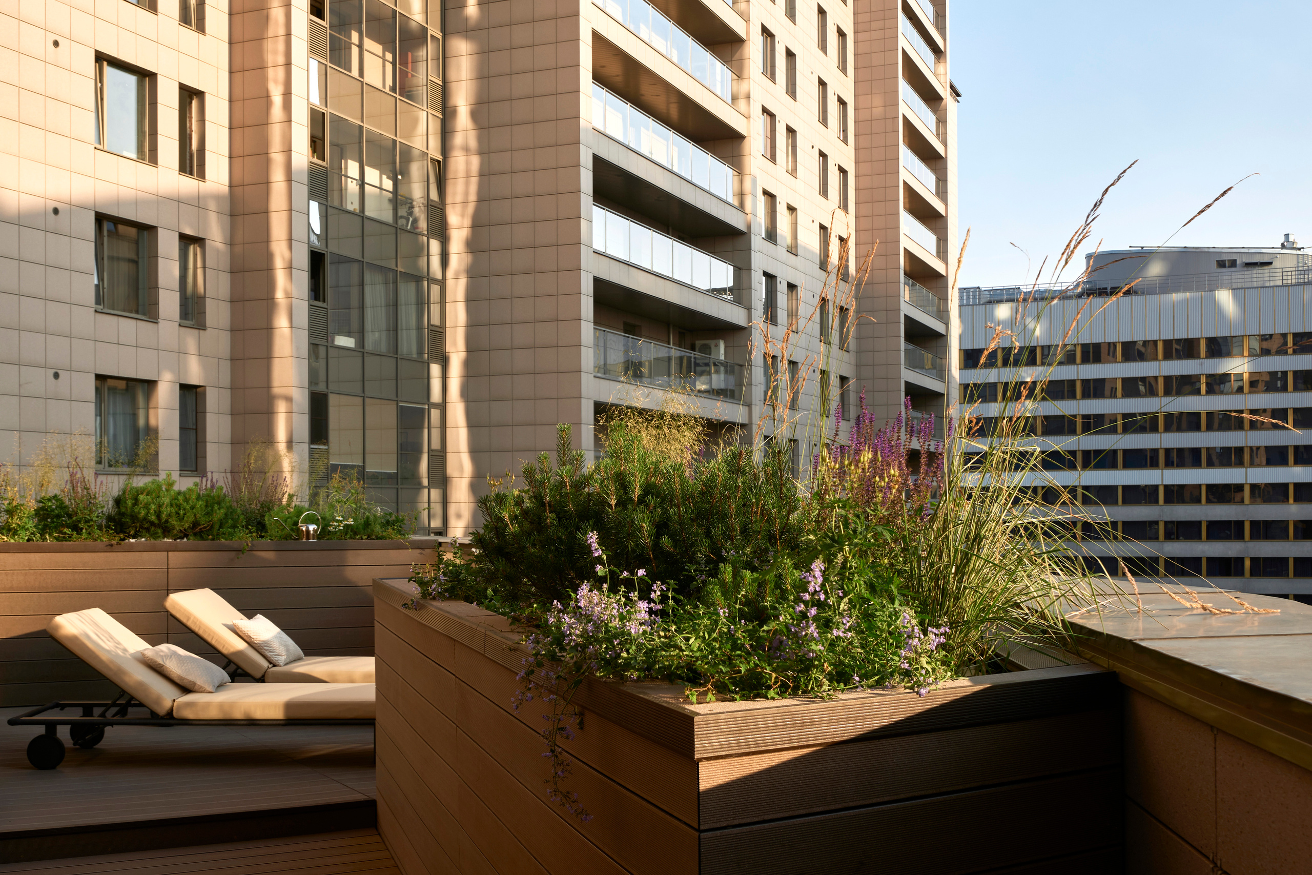 Ландшафтный и интерьерный фотограф Наталья Соловьева. Фотосъемка озеленения террасы в ЖК Монблан для студии Зелен | interioto