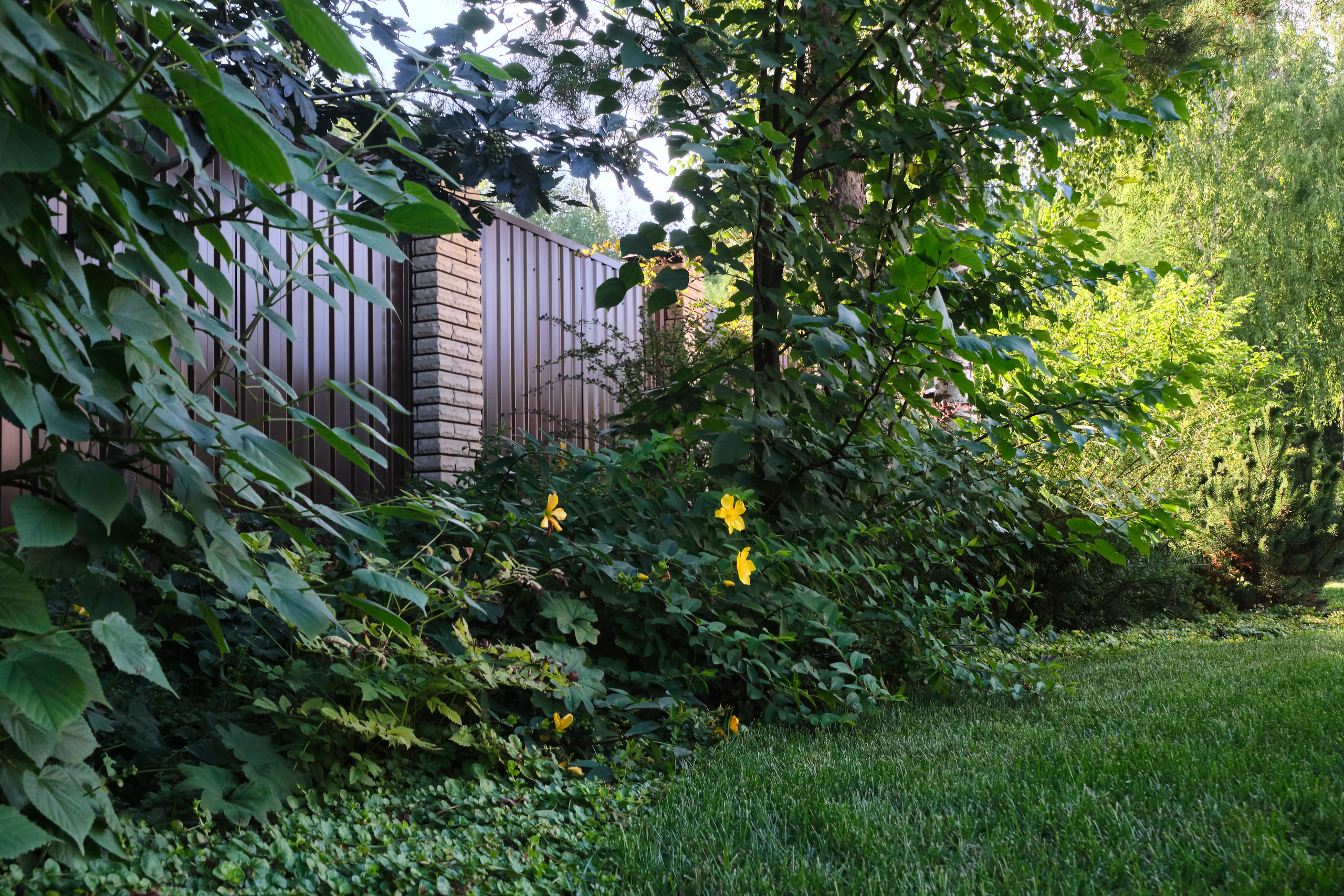 Ландшафтный и интерьерный фотограф Наталья Соловьева. Фотосъемка озеленения частного сада в Подмосковье | interioto