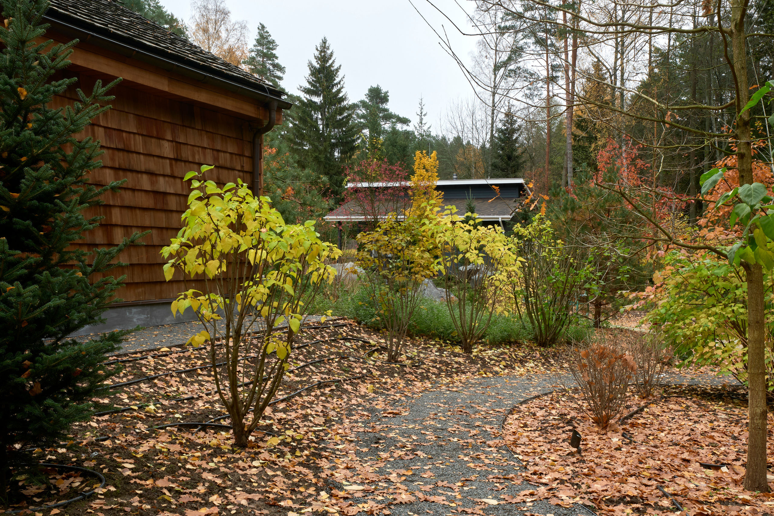 Ландшафтный и интерьерный фотограф Наталья Соловьева. Фотосъемка сада в Репино для ландшафтной студии lburo | interioto