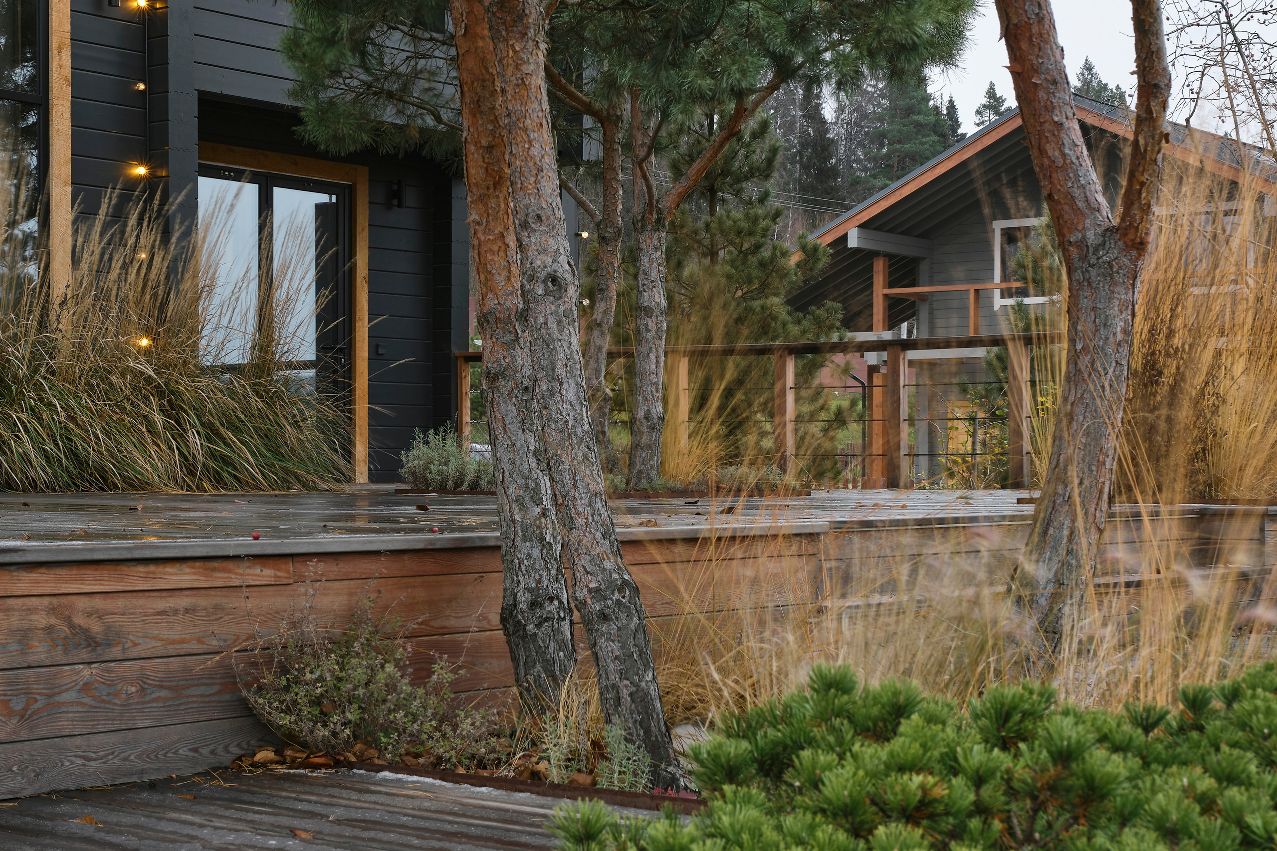 Ландшафтный и интерьерный фотограф Наталья Соловьева. Фотосъемка частного сада Оксаны Пак | interioto