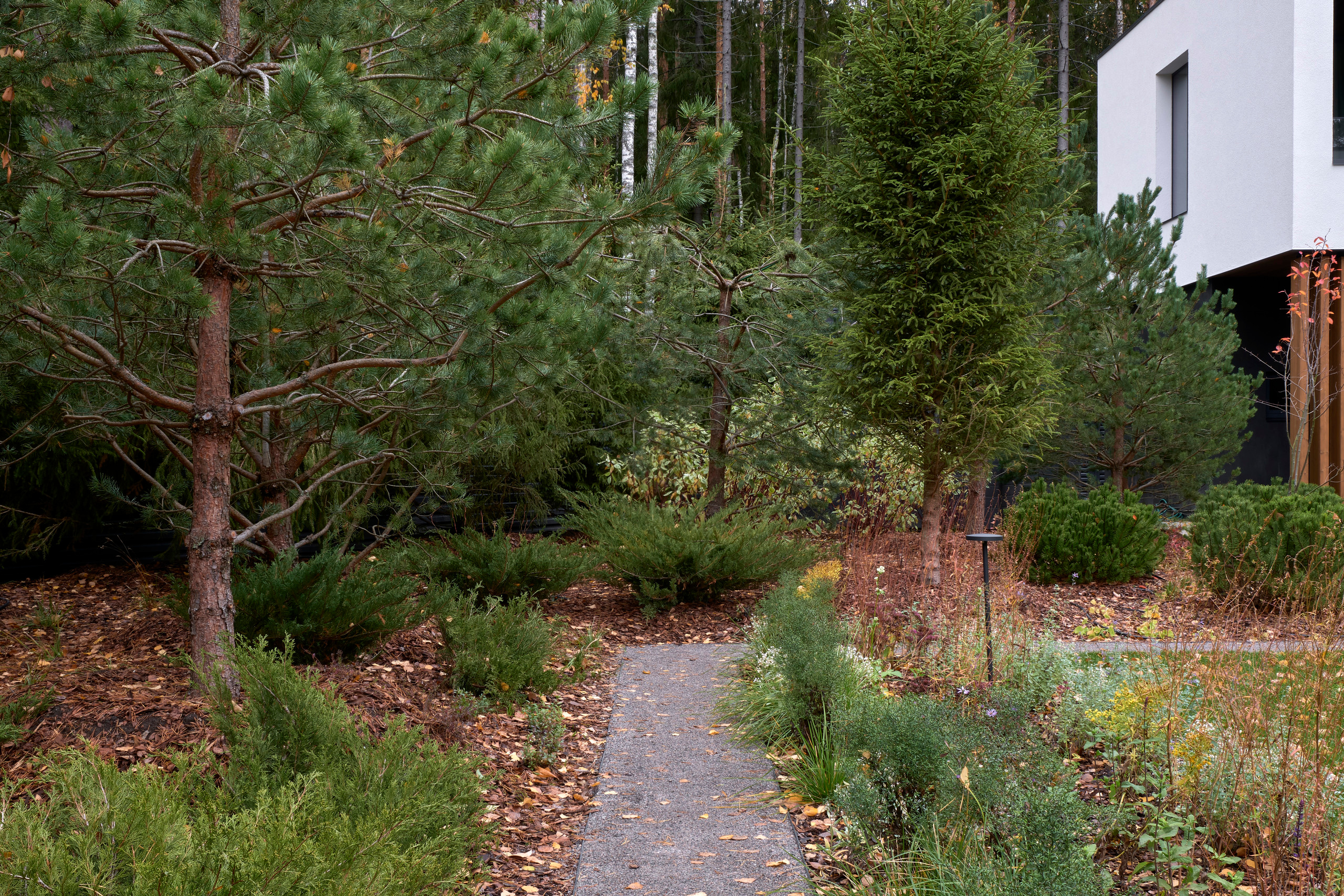 Ландшафтный и интерьерный фотограф Наталья Соловьева. Фотосъемка проекта сада в Курортном районе для ландшафтной студии lburo | interioto