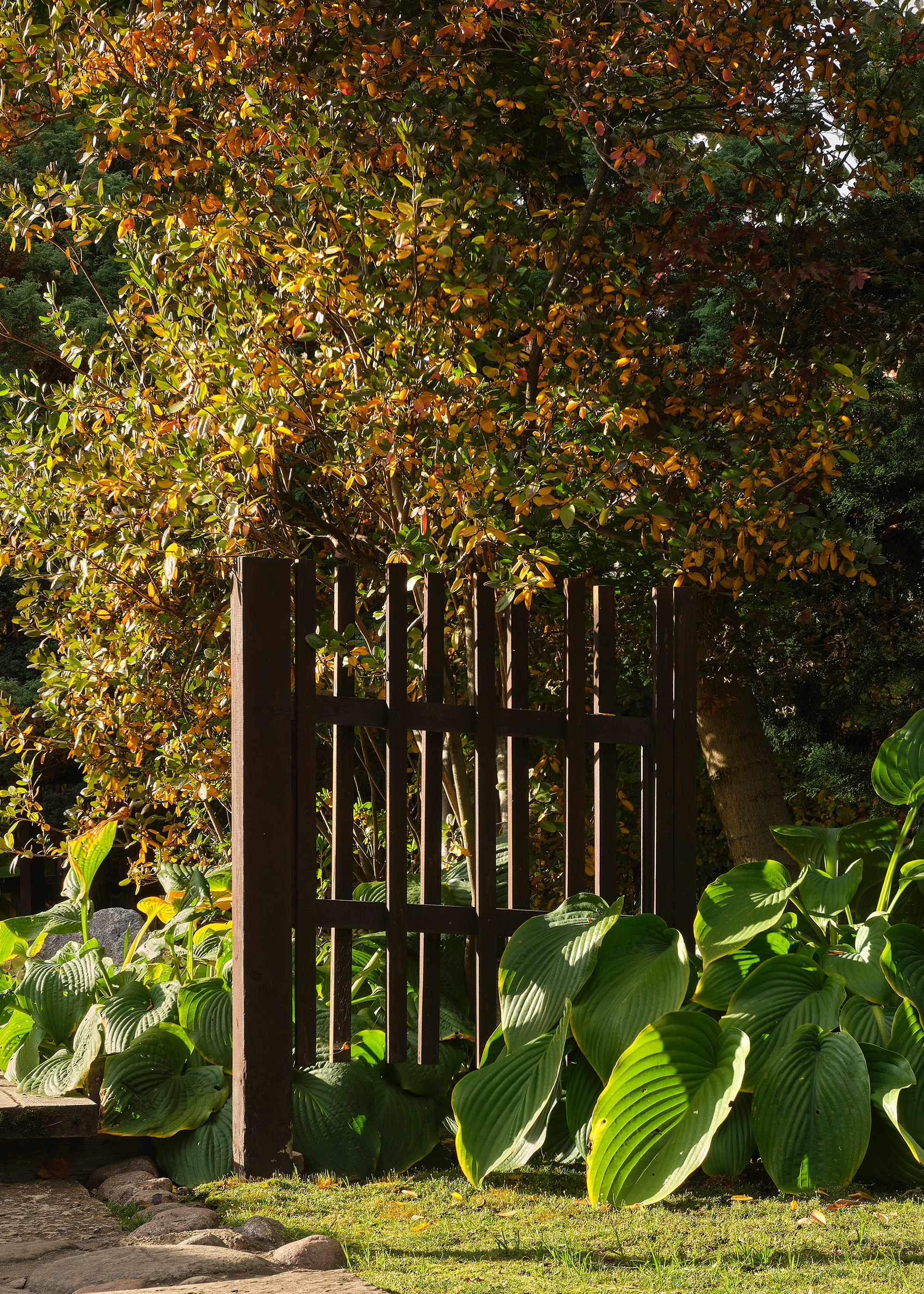 Ландшафтный и интерьерный фотограф Наталья Соловьева. Фотосъемка Японского сада на территории Ботанического института БИН РАН | interioto