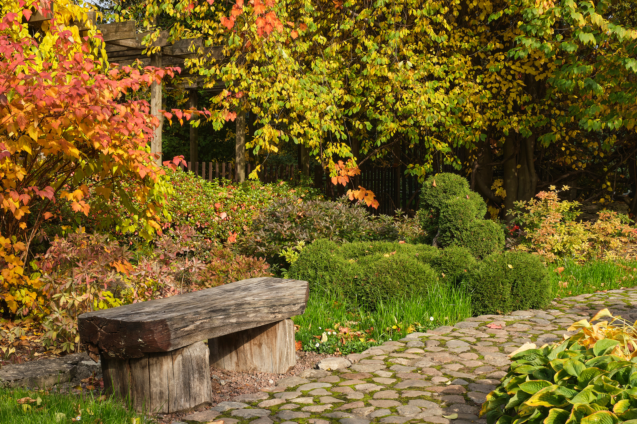 Ландшафтный и интерьерный фотограф Наталья Соловьева. Фотосъемка Японского сада на территории Ботанического института БИН РАН | interioto