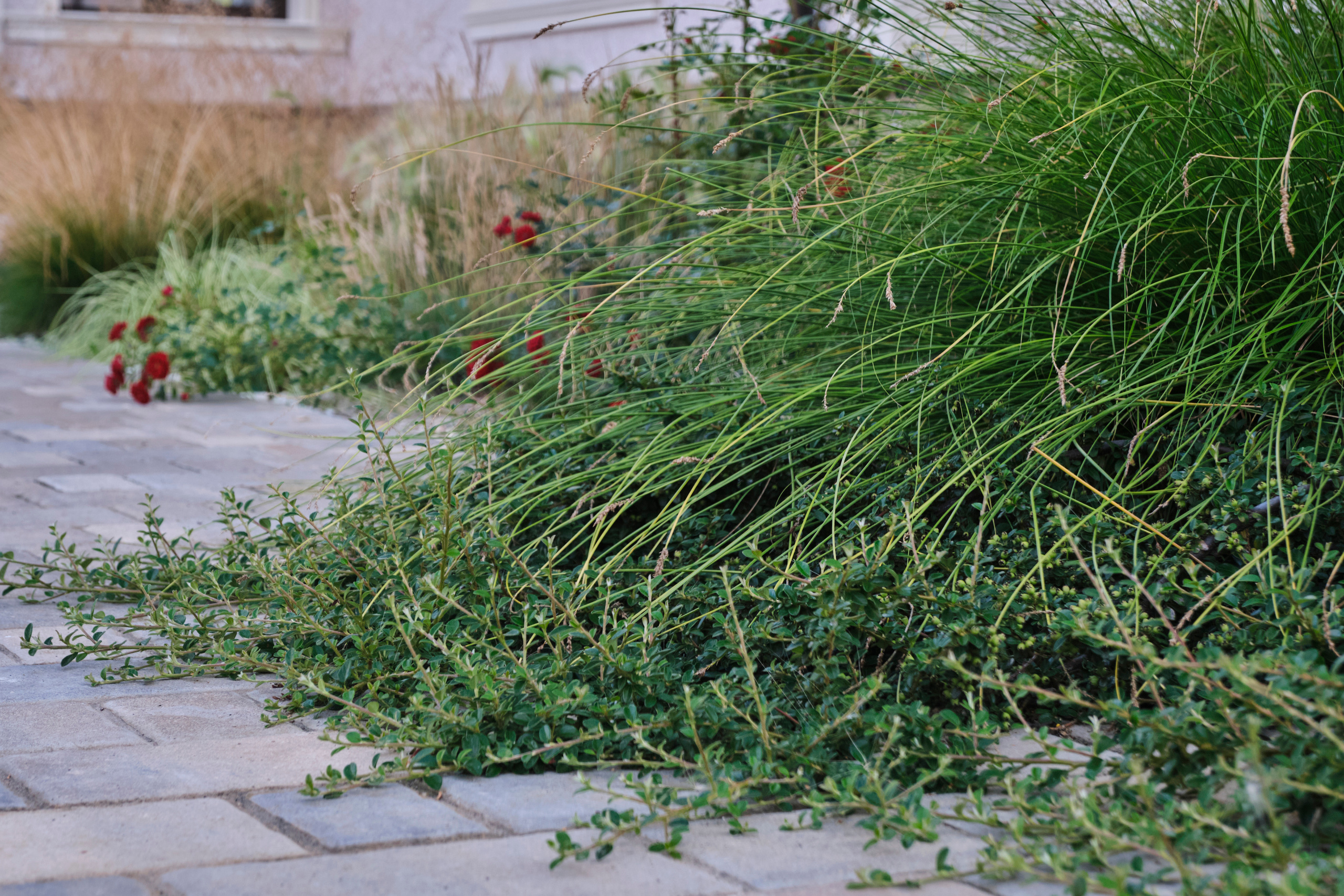 Ландшафтный и интерьерный фотограф Наталья Соловьева. Фотосъемка озеленения частного сада в Подмосковье | interioto