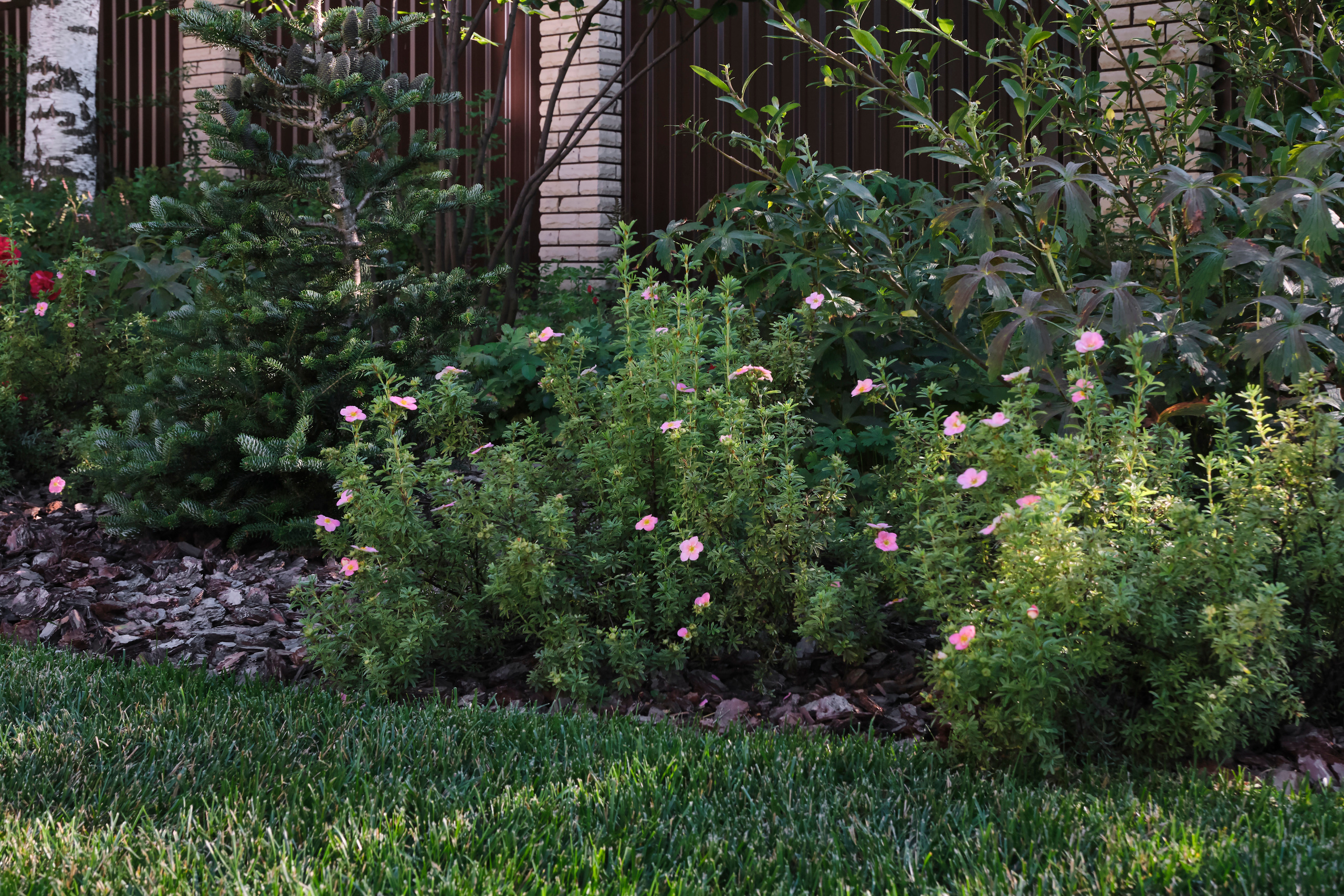 Ландшафтный и интерьерный фотограф Наталья Соловьева. Фотосъемка озеленения частного сада в Подмосковье | interioto