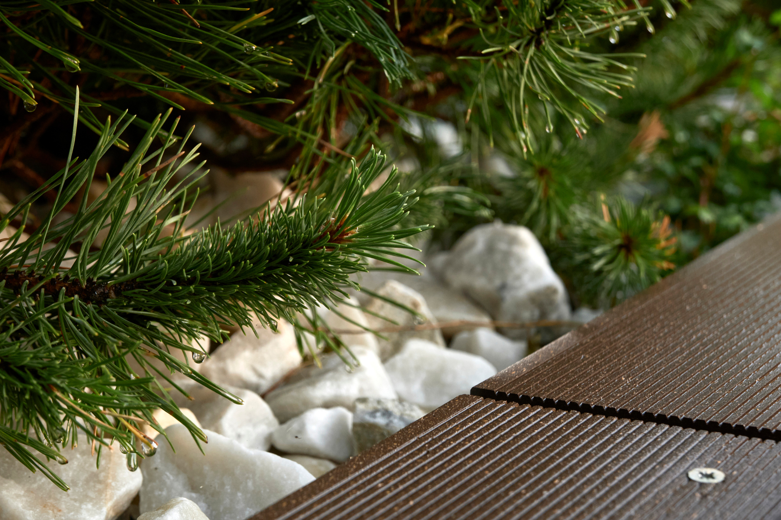 Ландшафтный и интерьерный фотограф Наталья Соловьева. Фотосъемка озеленения террасы в ЖК Монблан для студии Зелен | interioto