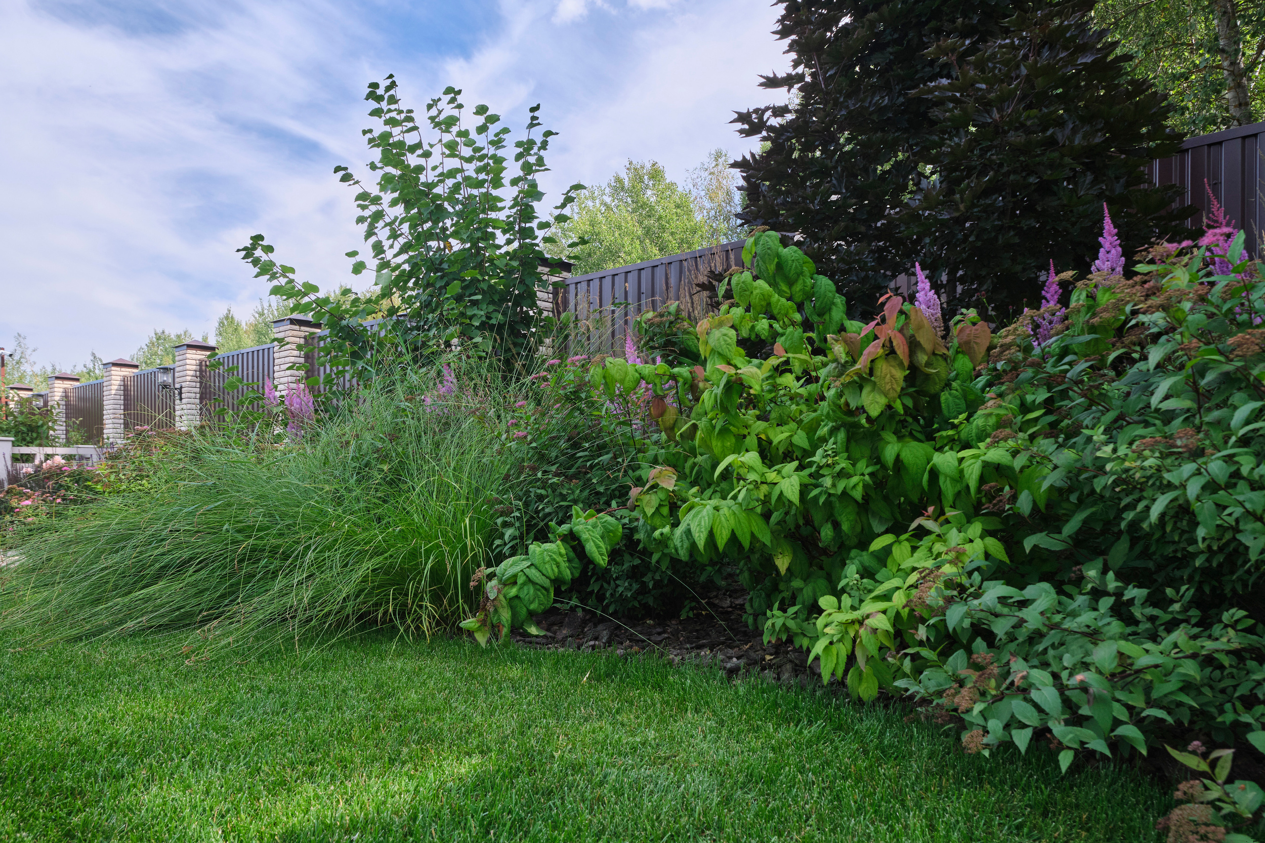 Ландшафтный и интерьерный фотограф Наталья Соловьева. Фотосъемка озеленения частного сада в Подмосковье | interioto