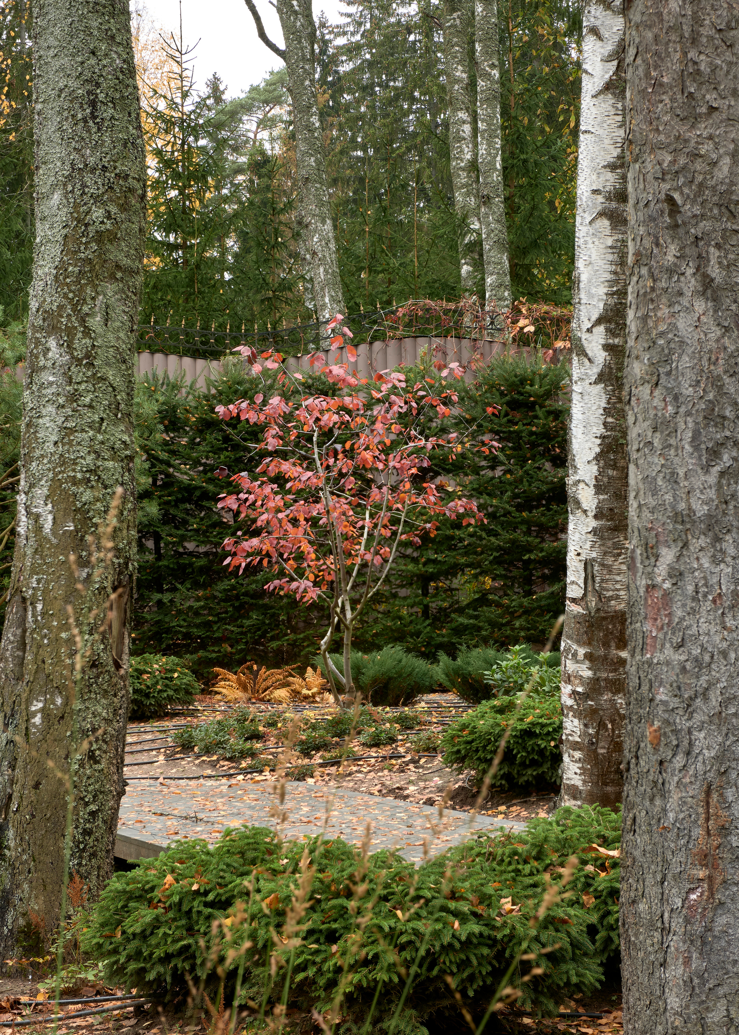 Ландшафтный и интерьерный фотограф Наталья Соловьева. Фотосъемка сада в Репино для ландшафтной студии lburo | interioto