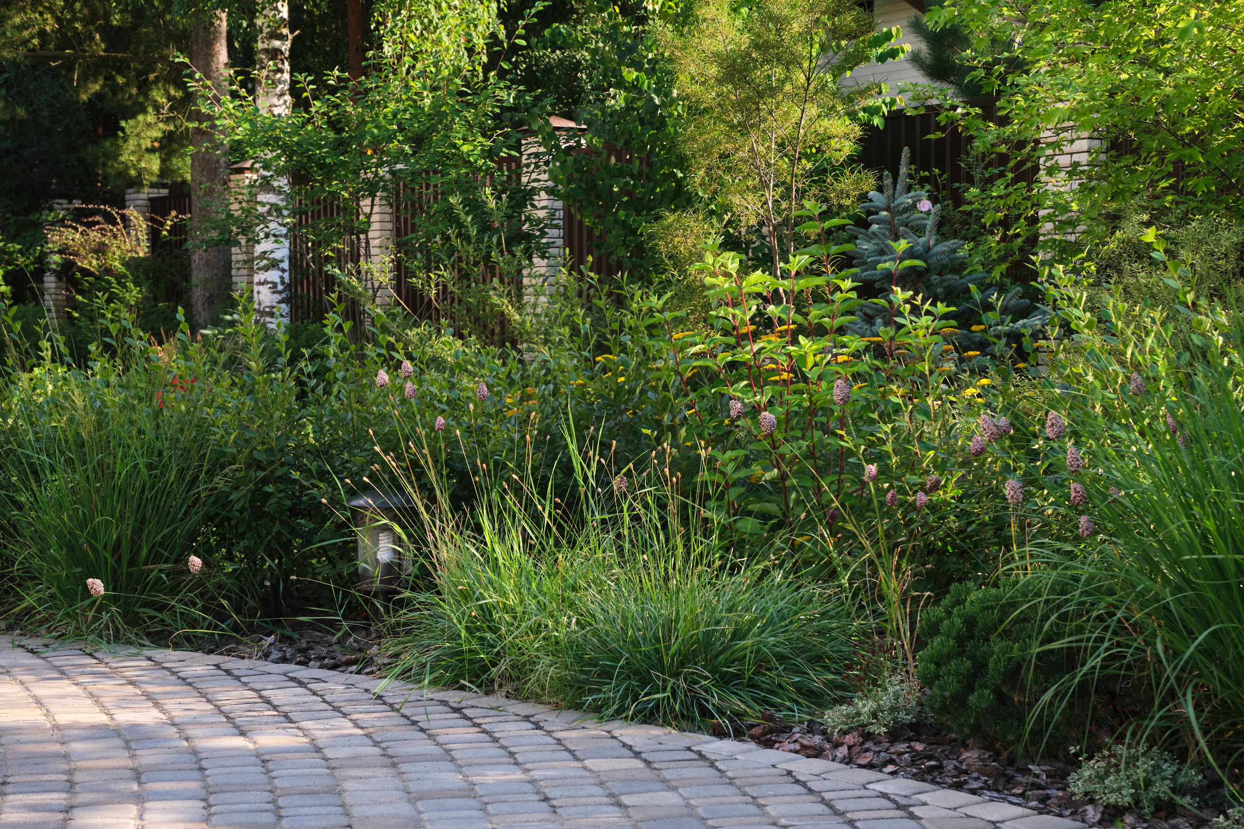 Ландшафтный и интерьерный фотограф Наталья Соловьева. Фотосъемка озеленения частного сада в Подмосковье | interioto