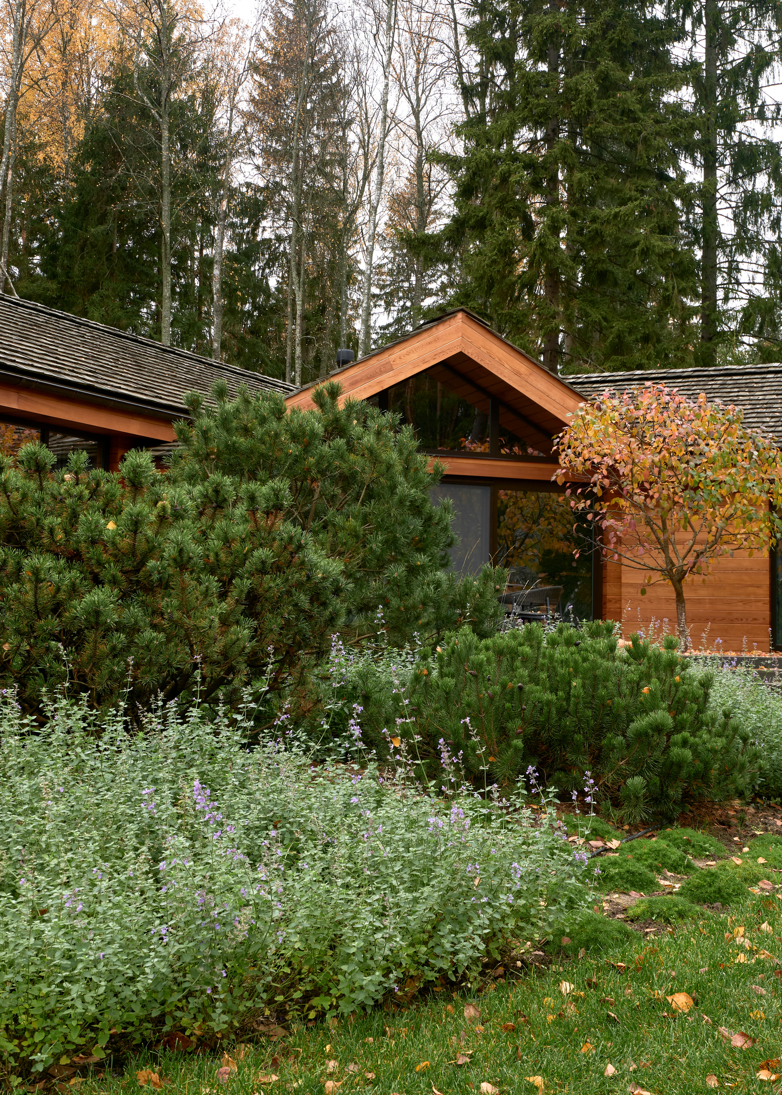 Ландшафтный и интерьерный фотограф Наталья Соловьева. Фотосъемка сада в Репино для ландшафтной студии lburo | interioto