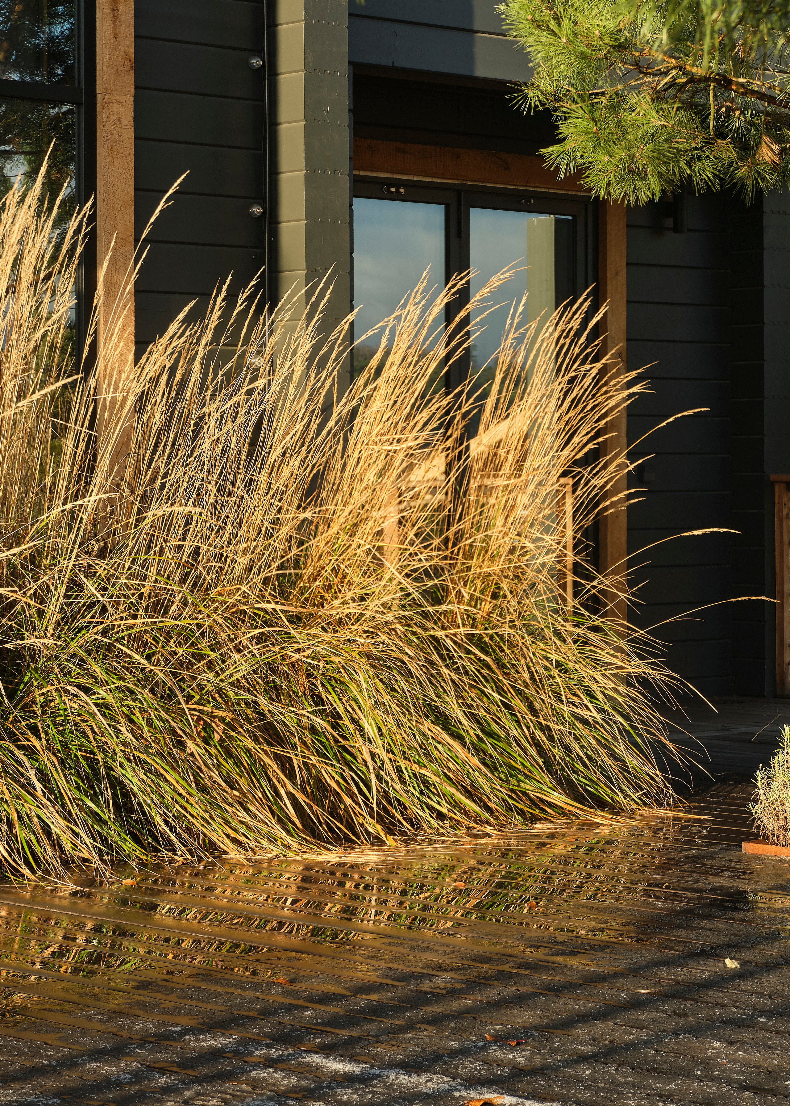 Ландшафтный и интерьерный фотограф Наталья Соловьева. Фотосъемка частного сада Оксаны Пак | interioto