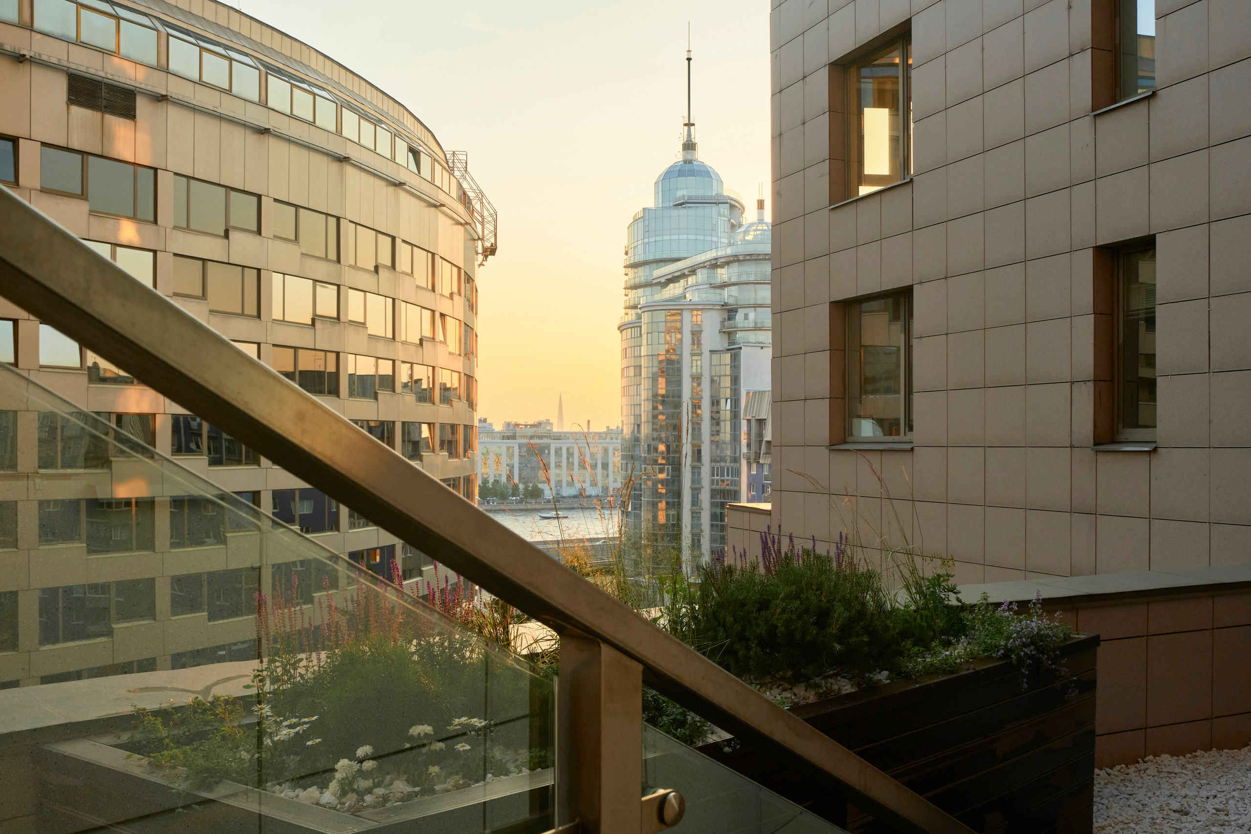 Ландшафтный и интерьерный фотограф Наталья Соловьева. Фотосъемка озеленения террасы в ЖК Монблан для студии Зелен | interioto