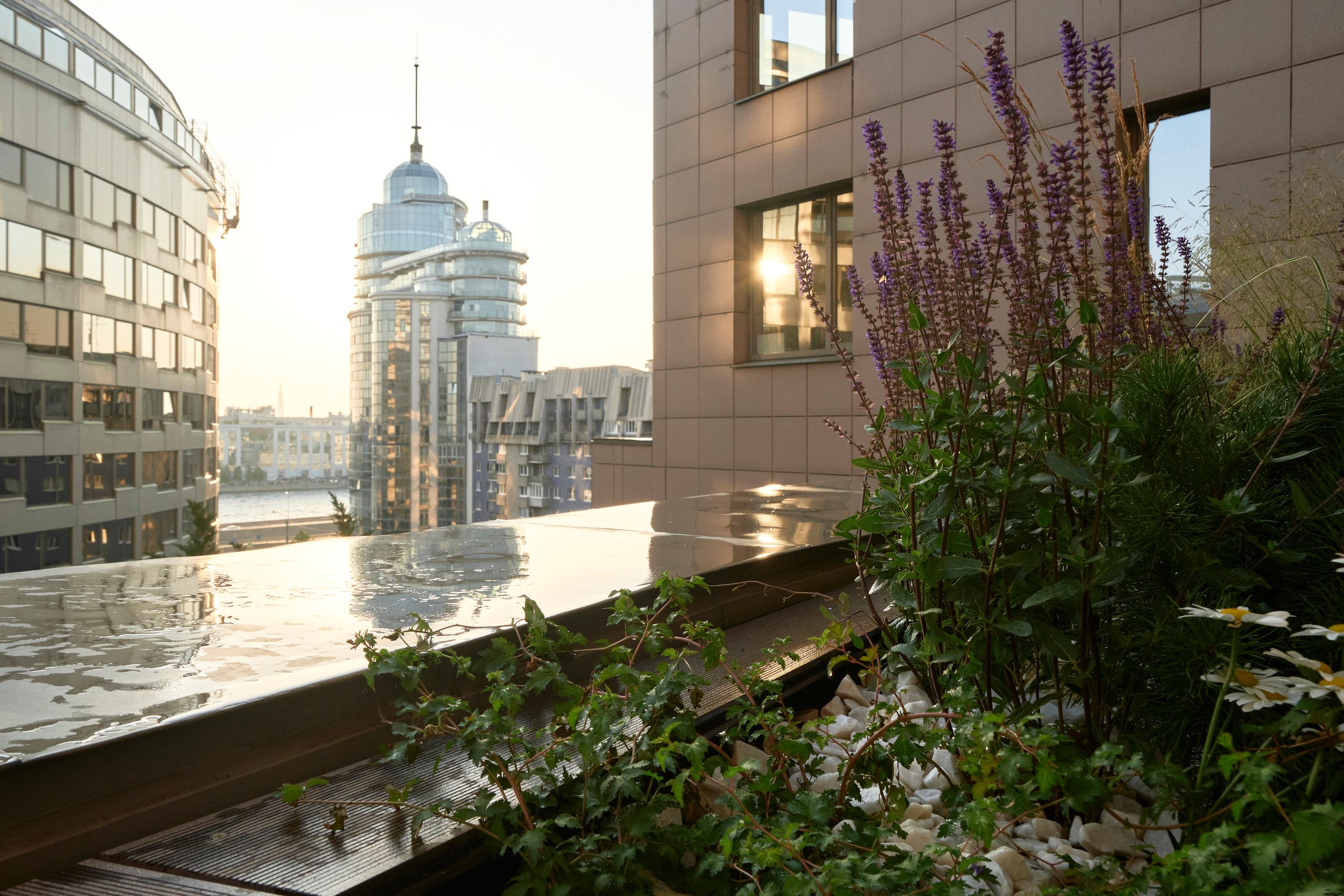 Ландшафтный и интерьерный фотограф Наталья Соловьева. Фотосъемка озеленения террасы в ЖК Монблан для студии Зелен | interioto