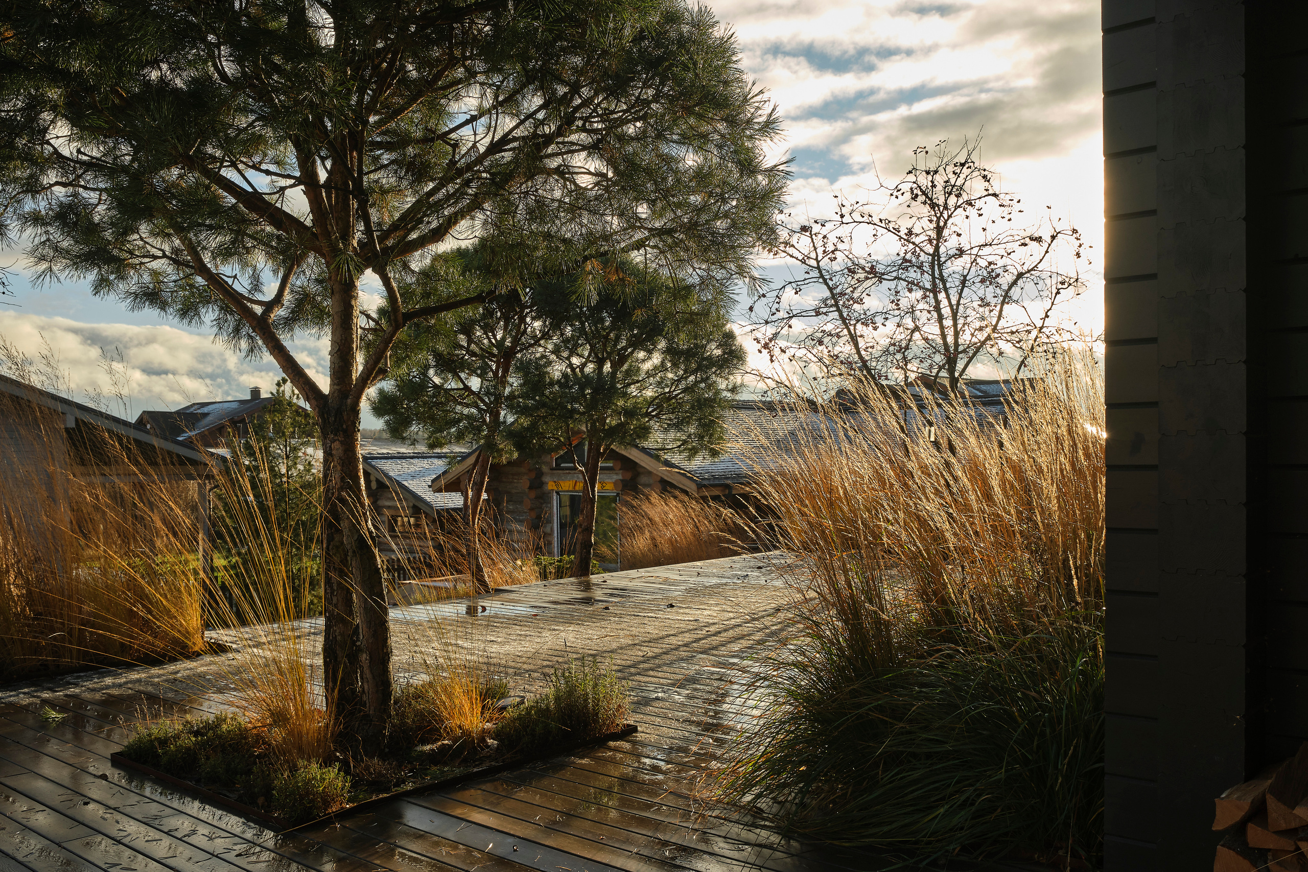 Ландшафтный и интерьерный фотограф Наталья Соловьева. Фотосъемка частного сада Оксаны Пак | interioto