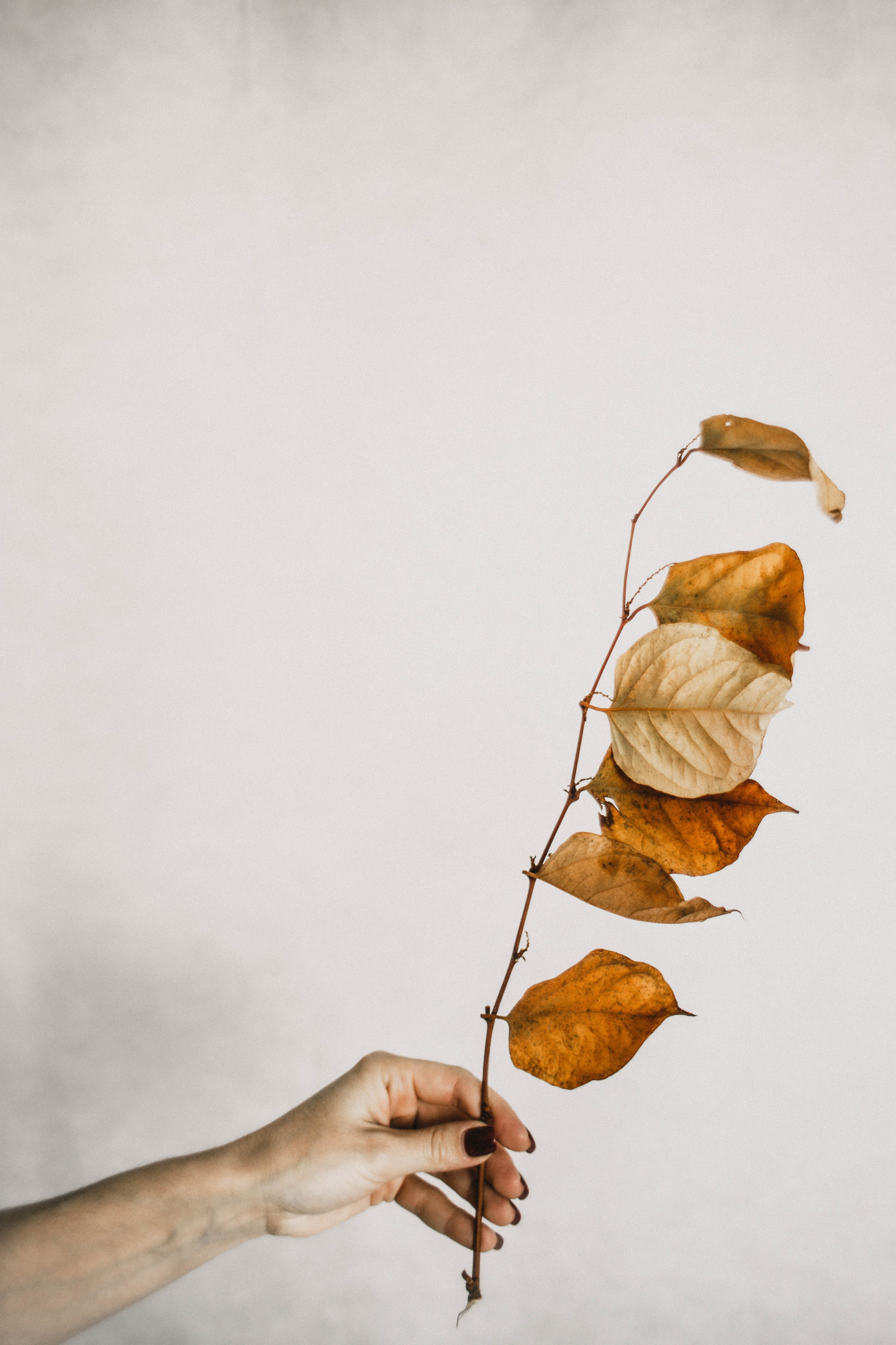 ДОМАшняя фотостудия. Фотограф в Нижнем Новгороде
