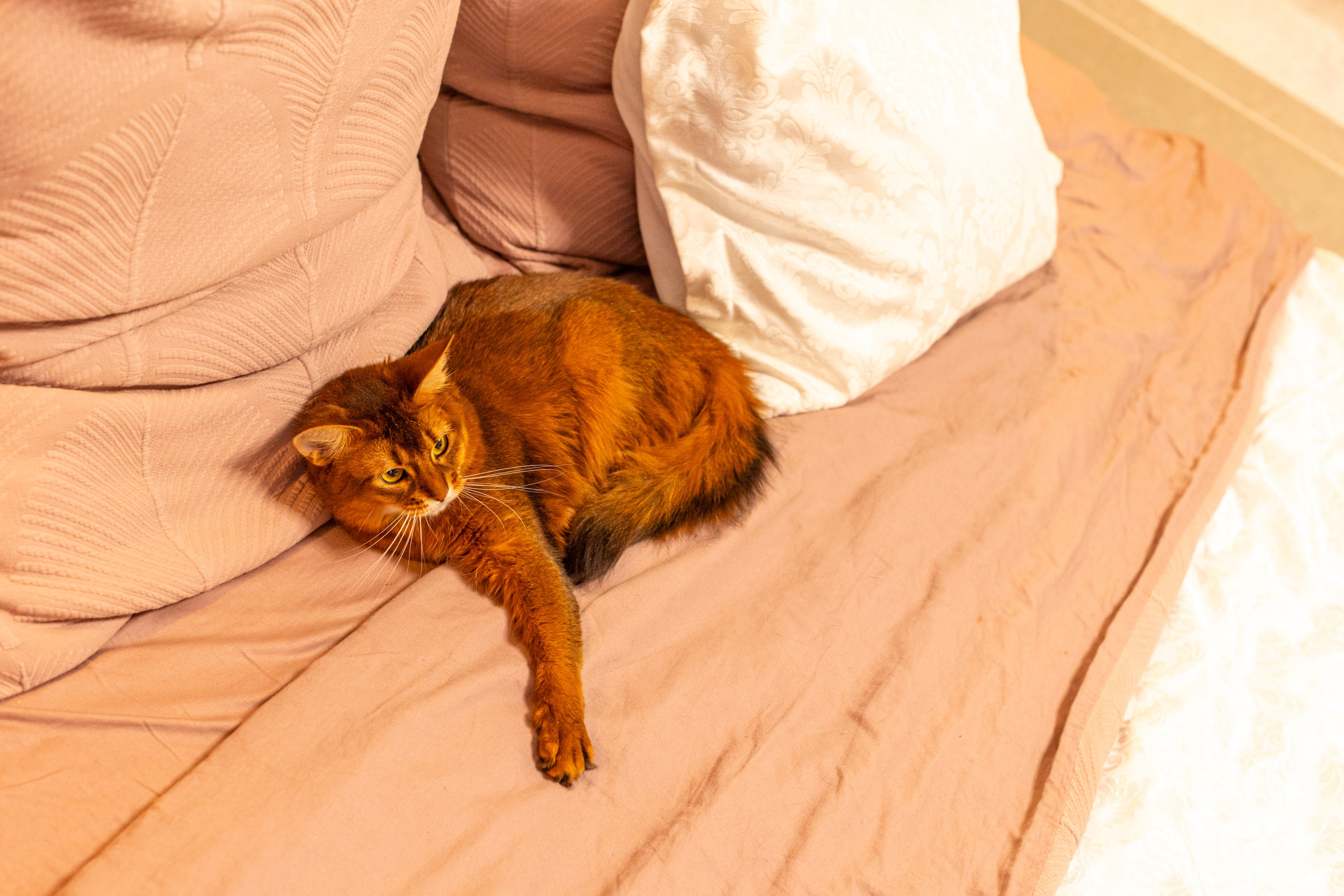 Сомали. Art my Pho