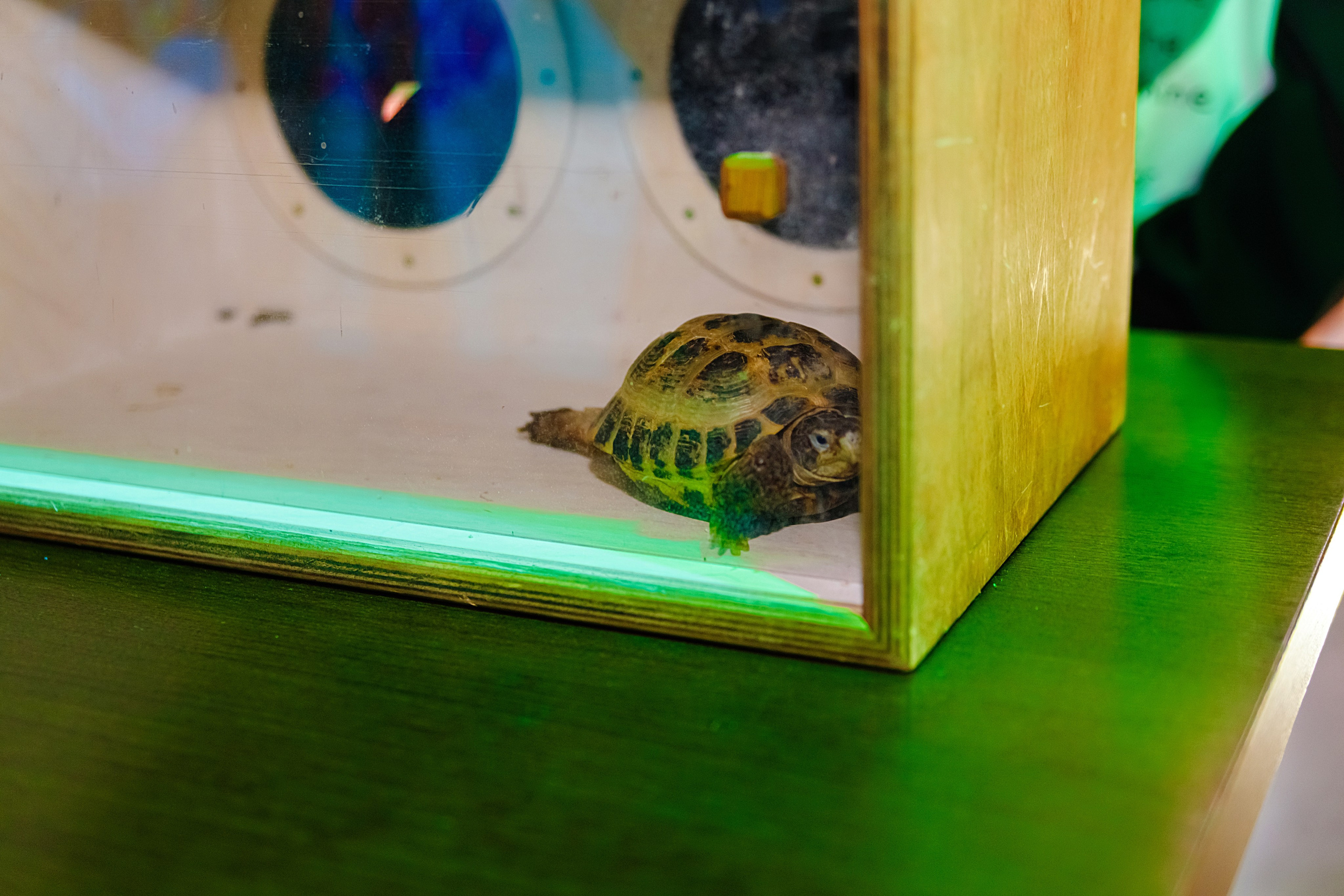 PARTY — happy birthday!. Elena Sova — семейный и женский фотограф в Санкт-Петербурге