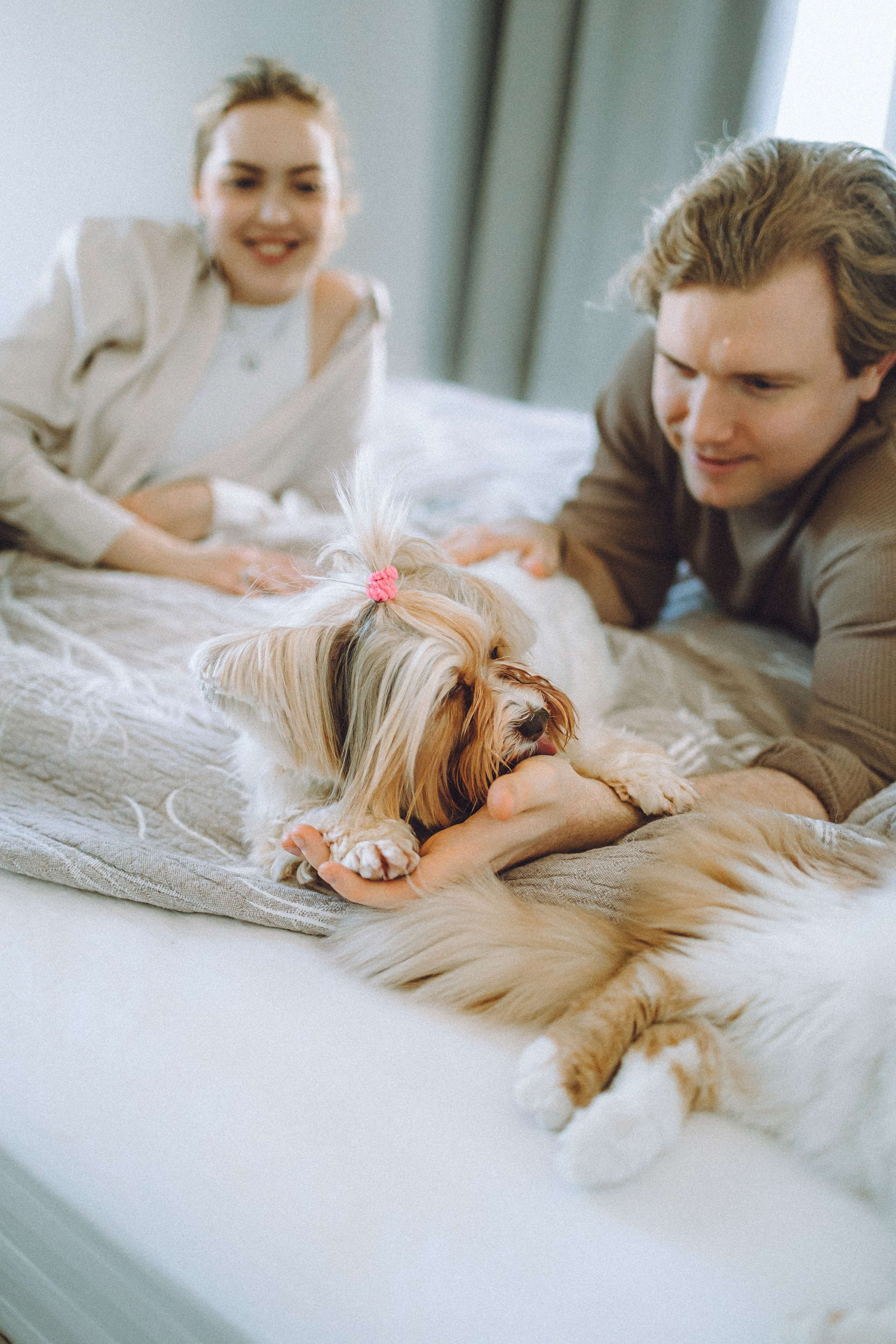 День Рождения Шу