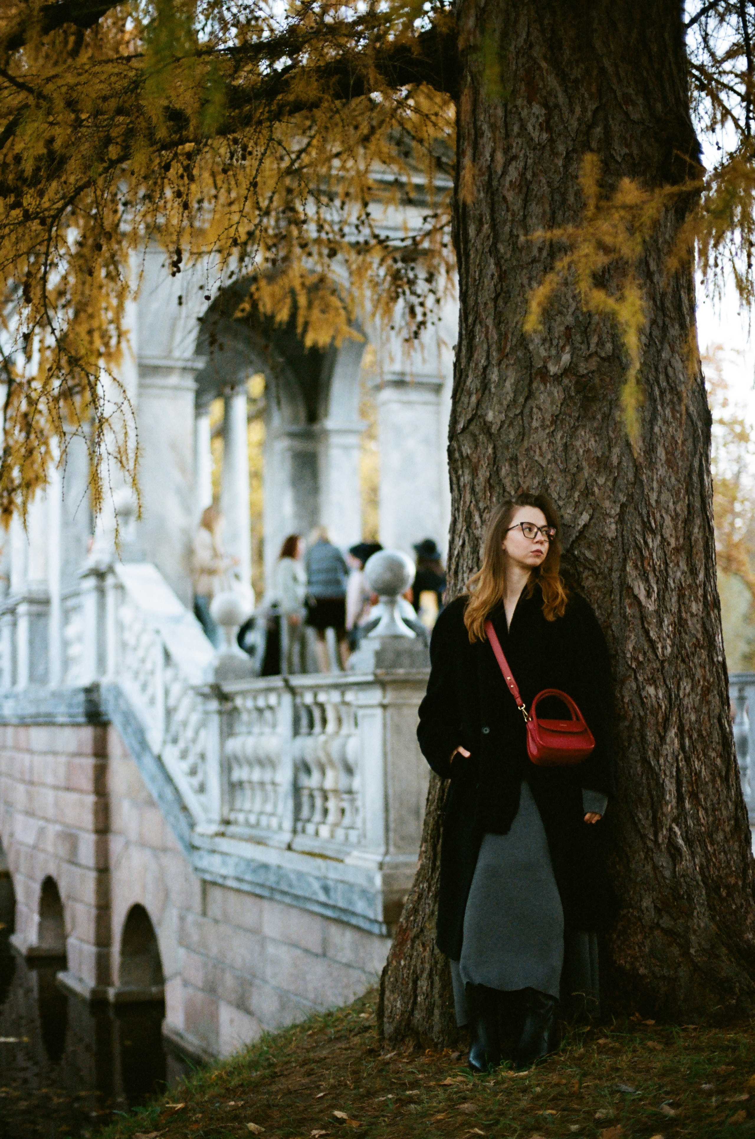 Осень в Пушкине. Андрей Цветков — репортажный, свадебный и портретный фотограф в Санкт-Петербурге