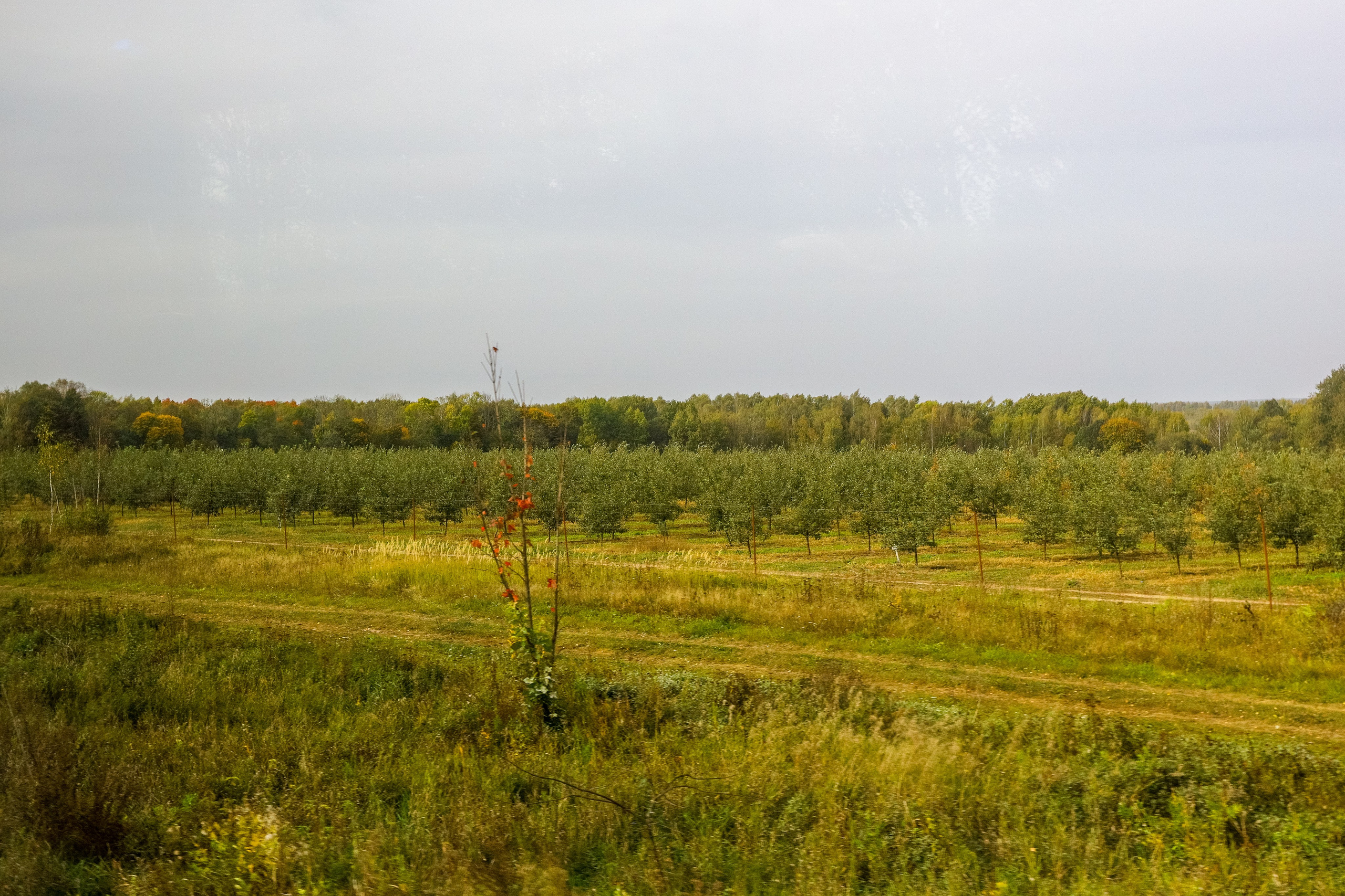 Поездка в Белев и на производство пастилы. Фотограф в Туле Крупский АнДРей. Фотостудия «КАДР71» в Туле
