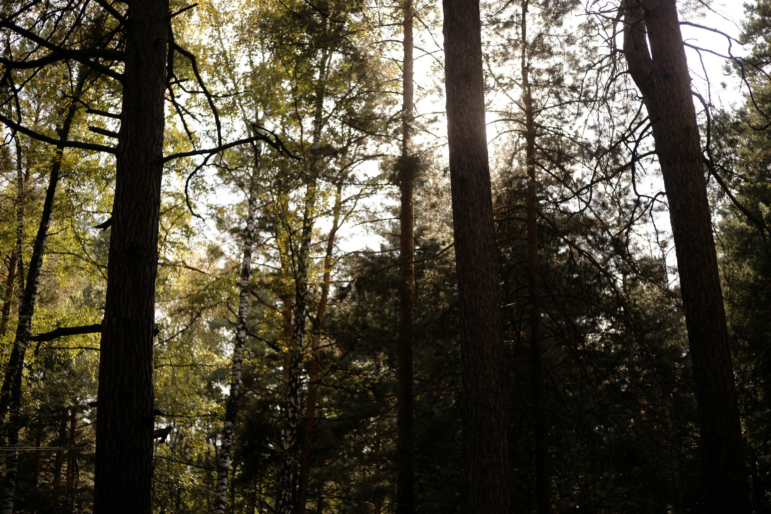 Железобетонно. Свадебный фотограф видеограф Новосибирск Кемерово Калининград