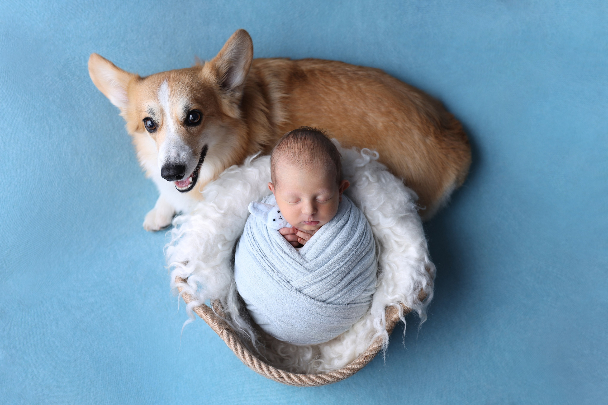 Newborn мальчики. Фотограф новорожденных Модяева Ирина