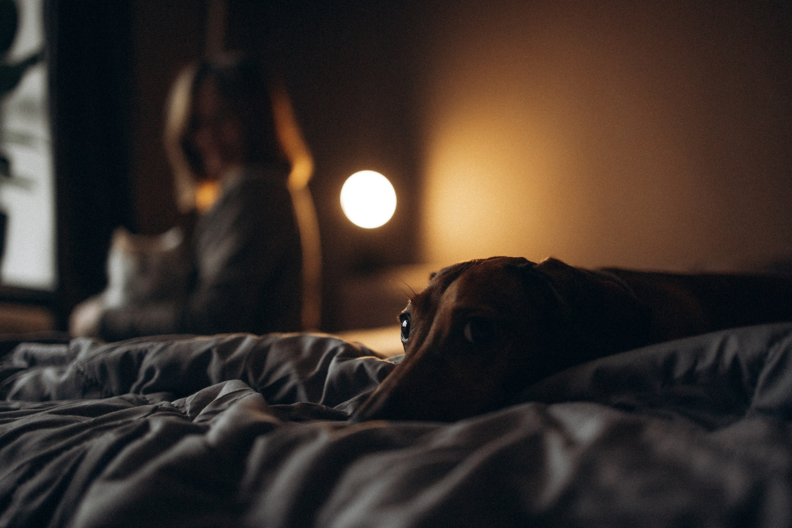 Маша и ее семья. Фотораф — анималист Мария Шистка