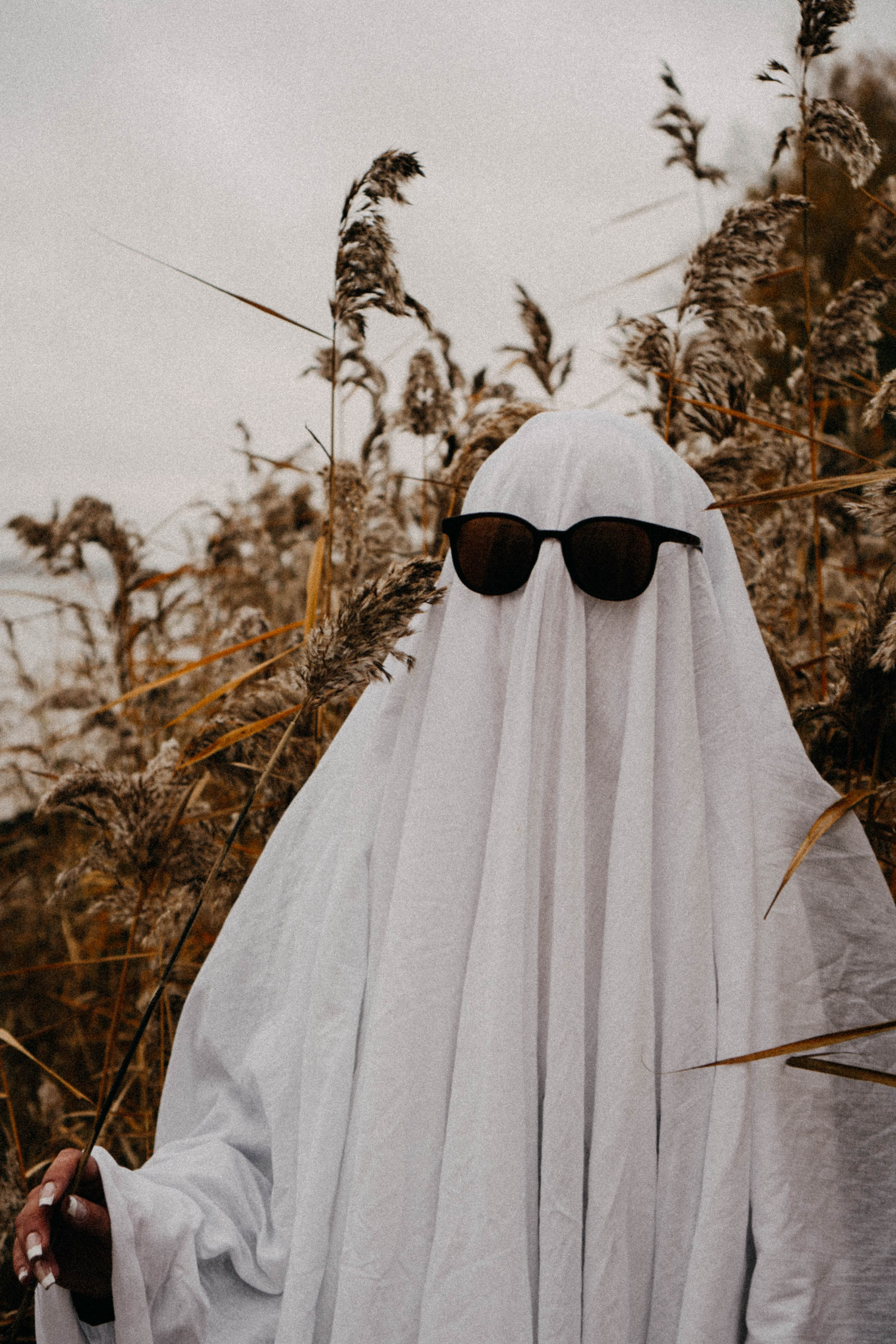 Осеняя. Профессиональный фотограф, Санкт-Петербург — Виктория Богомолова