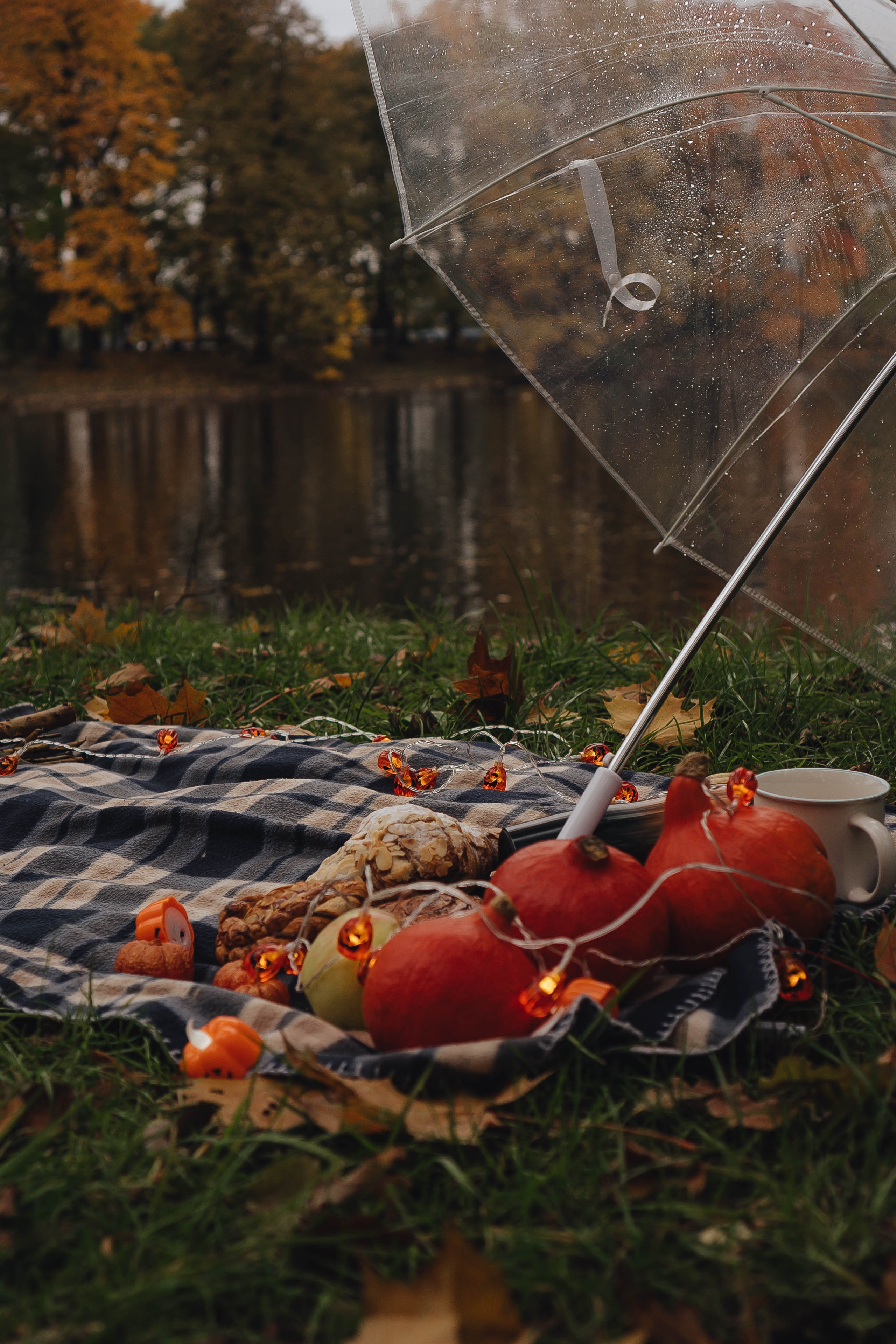 Осень. Профессиональный фотограф, Санкт-Петербург — Виктория Богомолова