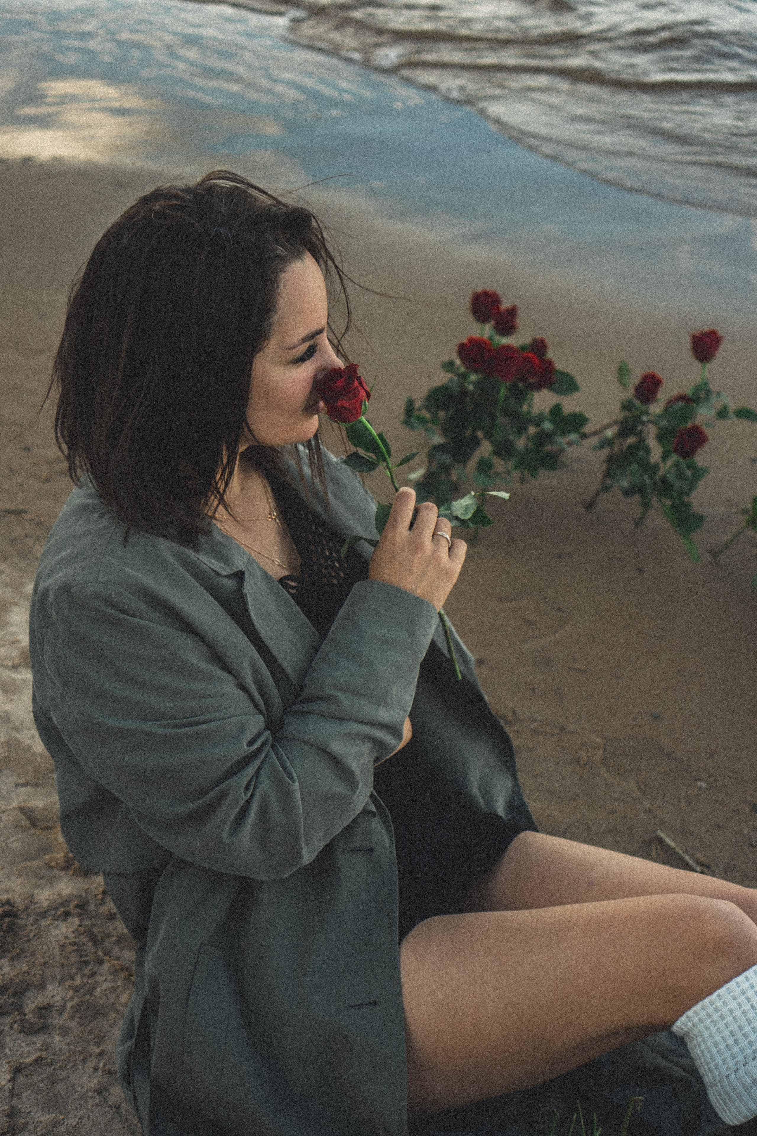 Розы. Профессиональный фотограф, Санкт-Петербург — Виктория Богомолова