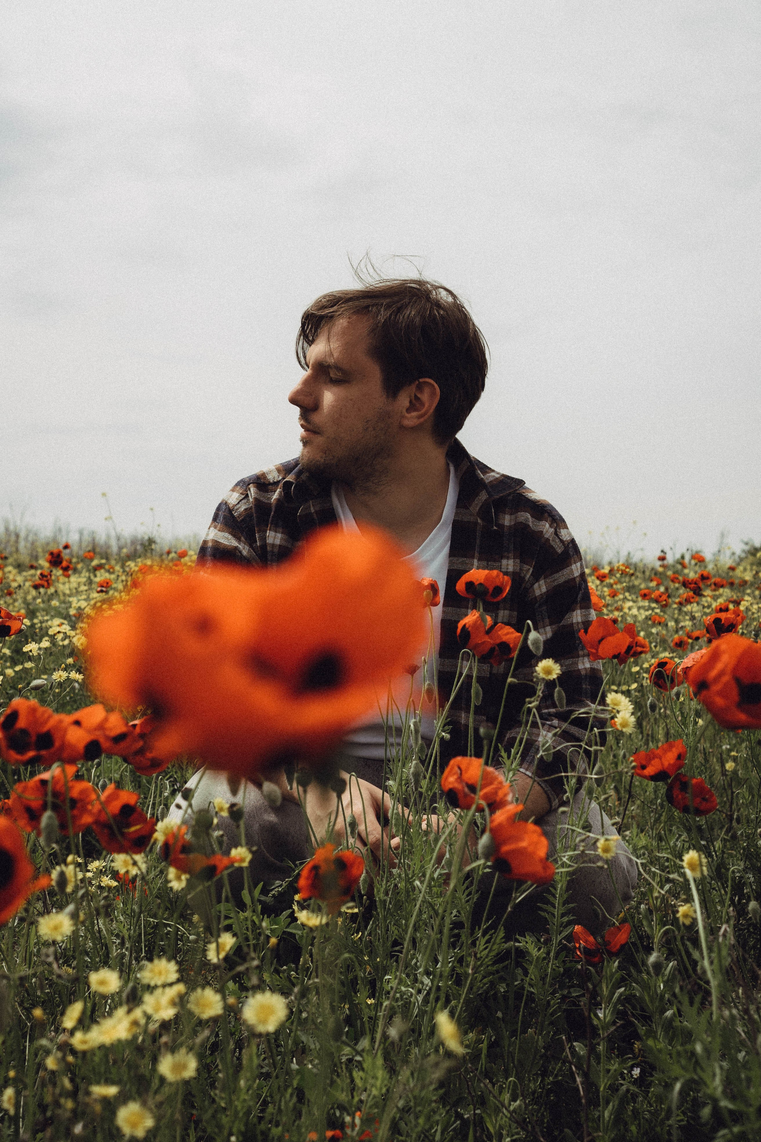 Маки. Профессиональный фотограф, Санкт-Петербург — Виктория Богомолова