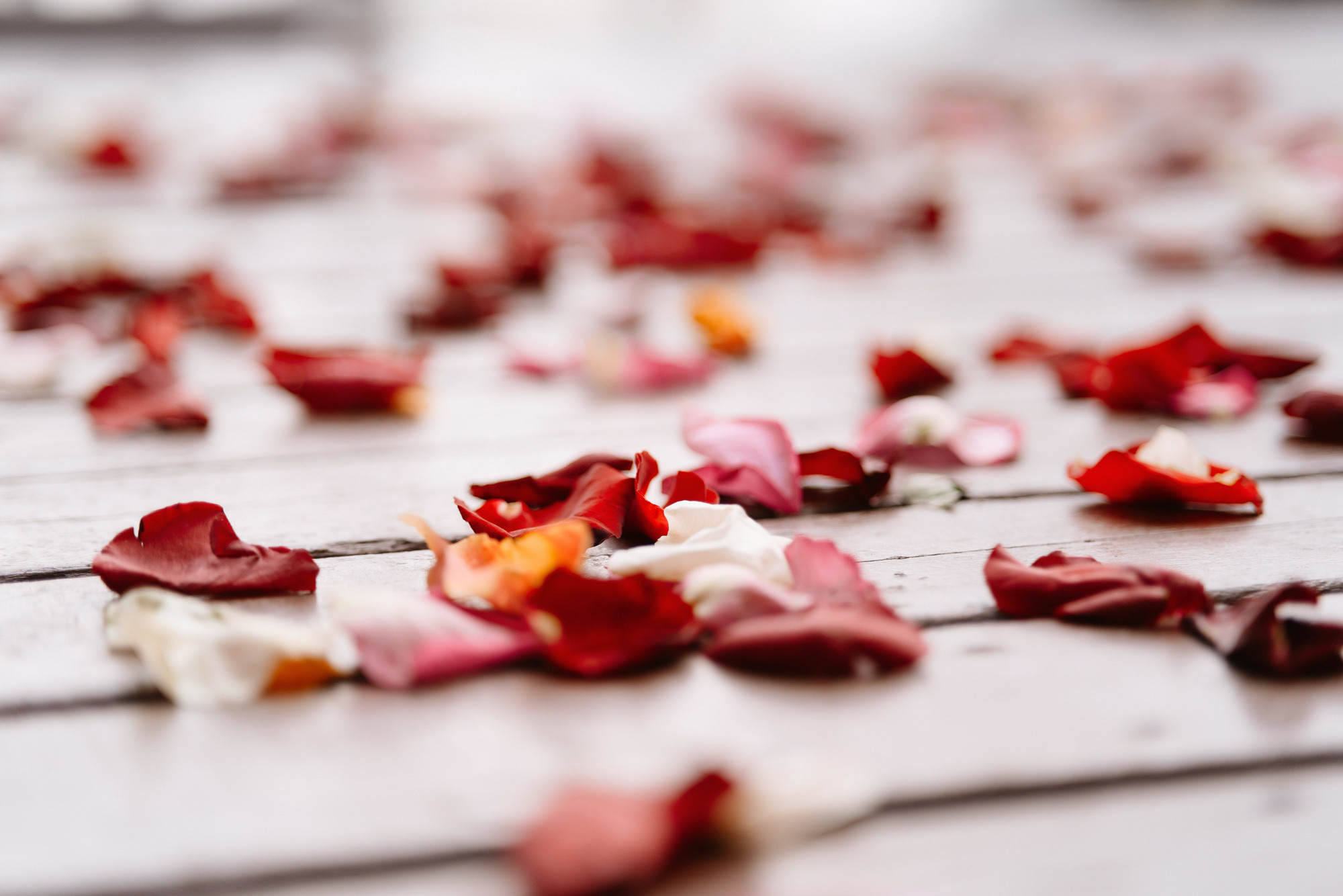 Гриша и Вита. Свадебный и репортажный фотограф в Москве Андрей Вайман