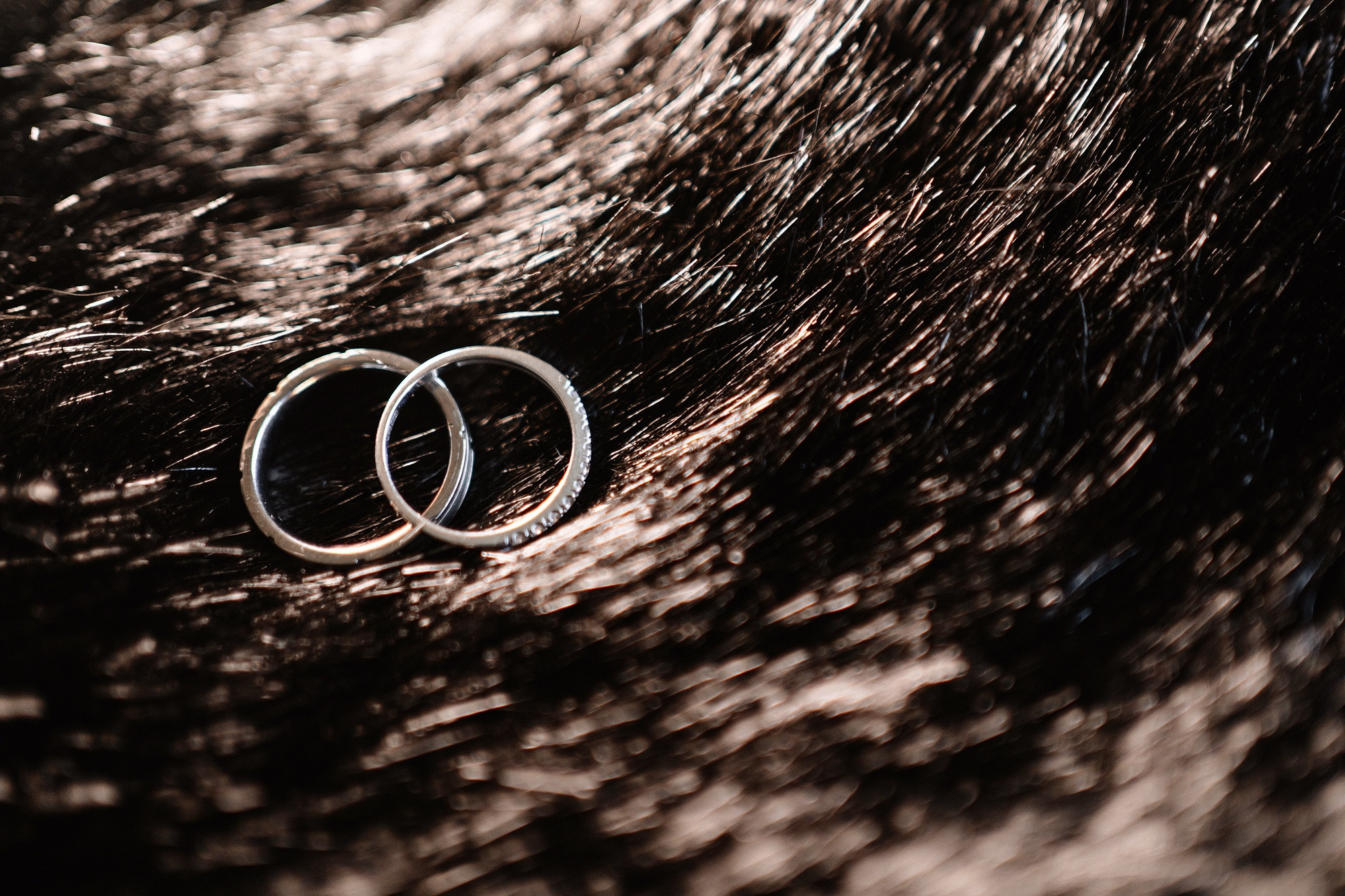 Никита и Маргарита. Свадебный и репортажный фотограф в Москве Андрей Вайман