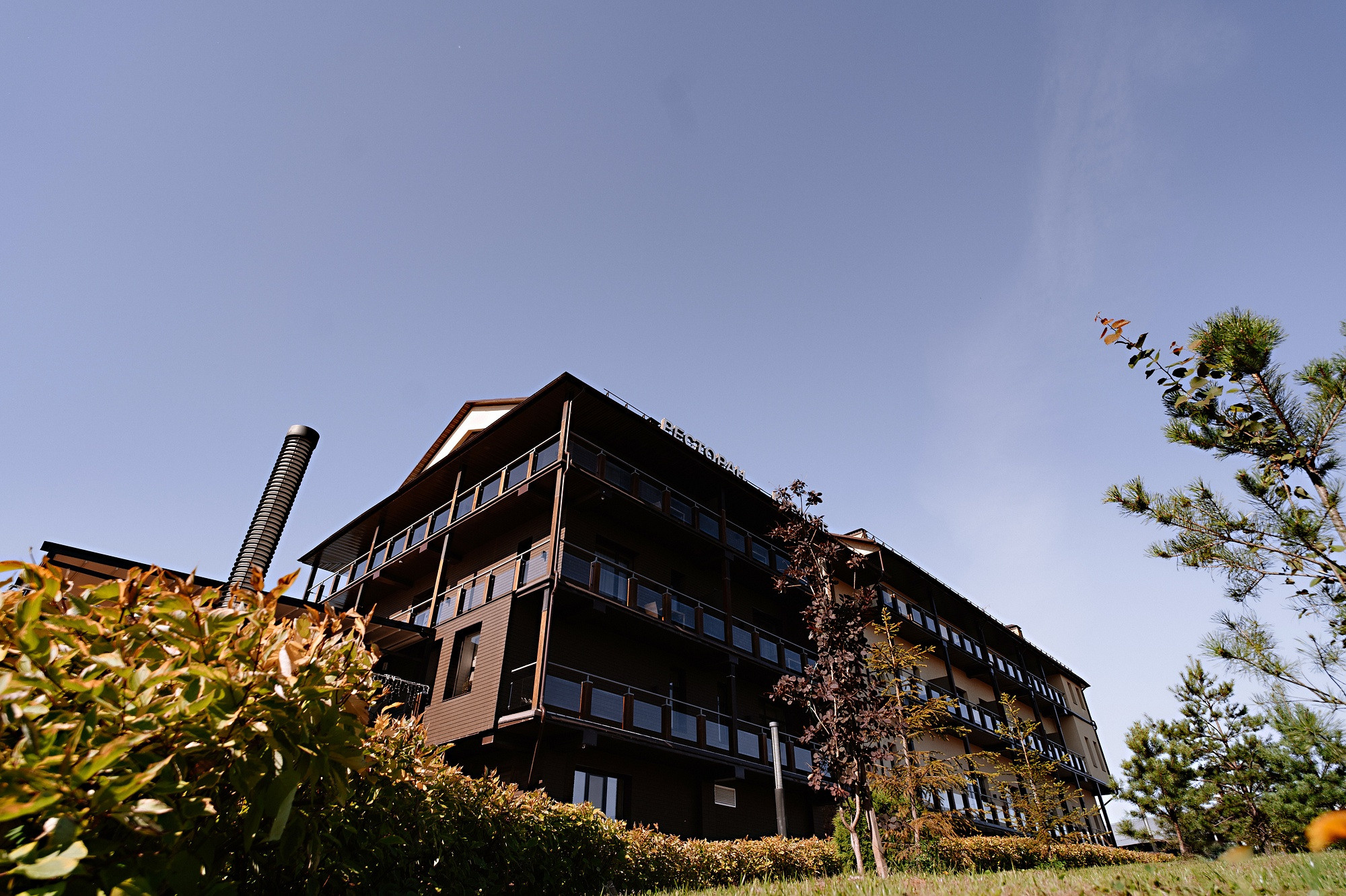 Артем и Арина. Свадебный и репортажный фотограф в Москве Андрей Вайман