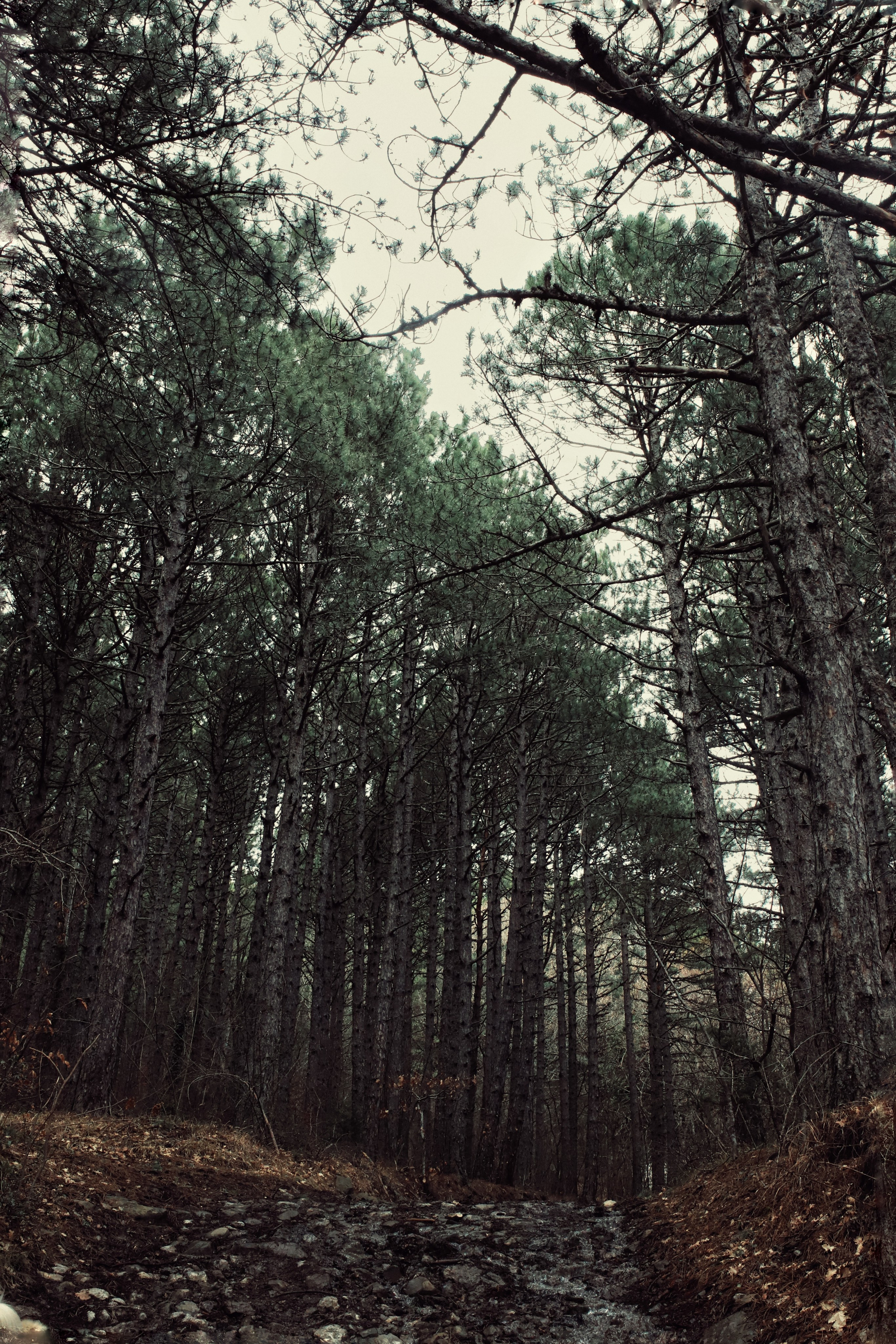 Бирюзовое озеро. Фотограф и видеограф в Санкт-Петербурге